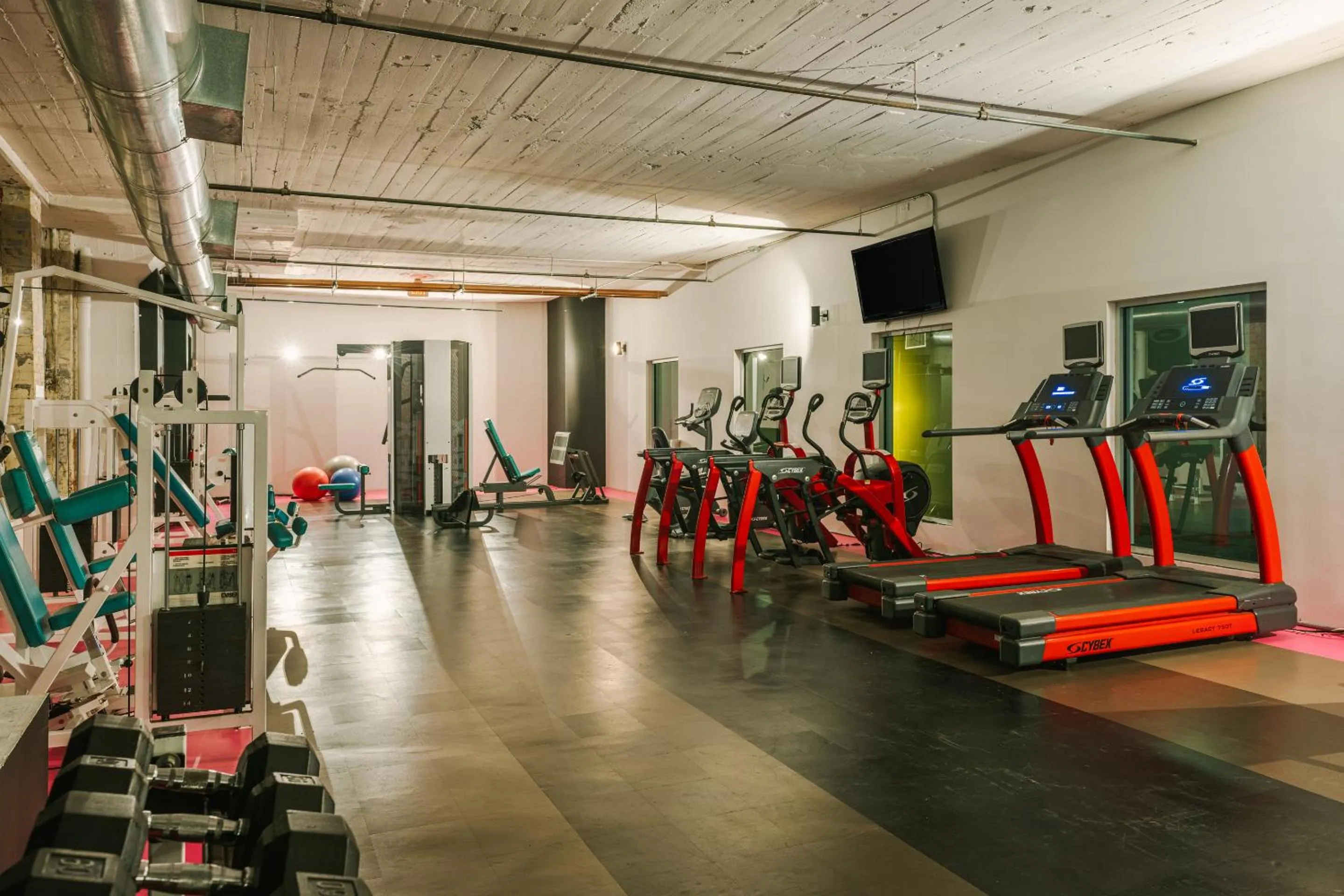 Fitness centre/facilities in Sonder The Hogg Palace