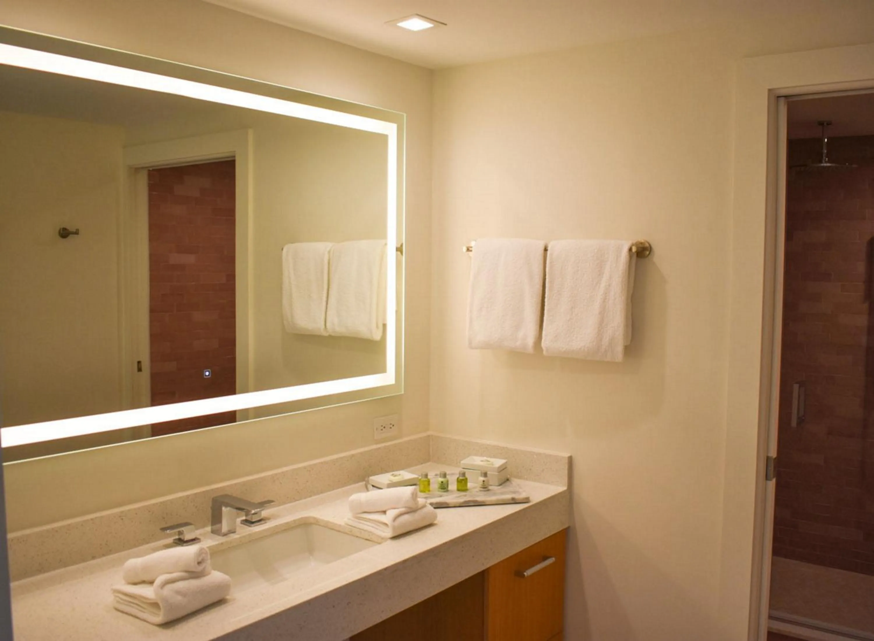 Bathroom in The Tony Hotel South Beach