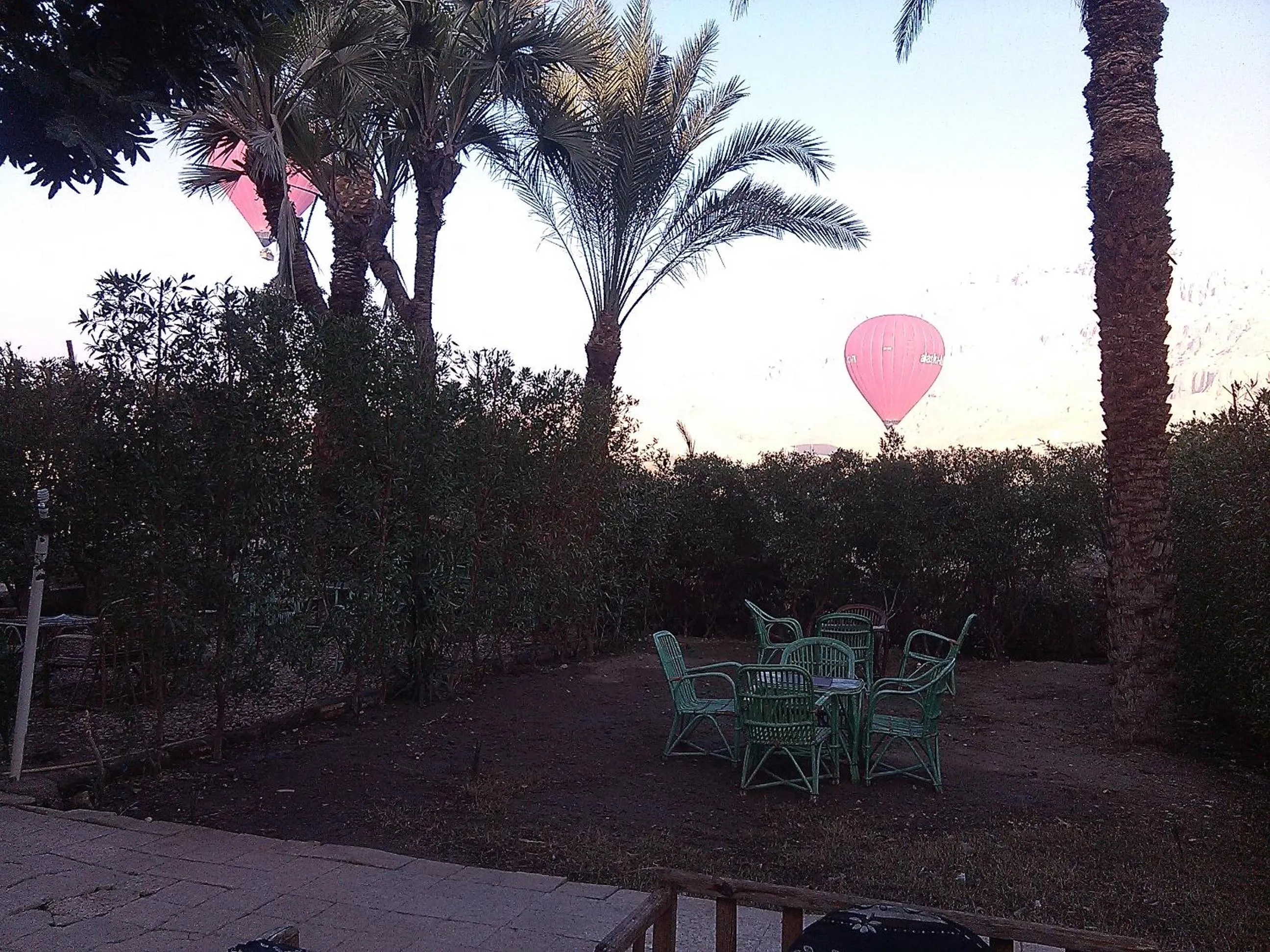 Garden in Pharaohs Hotel