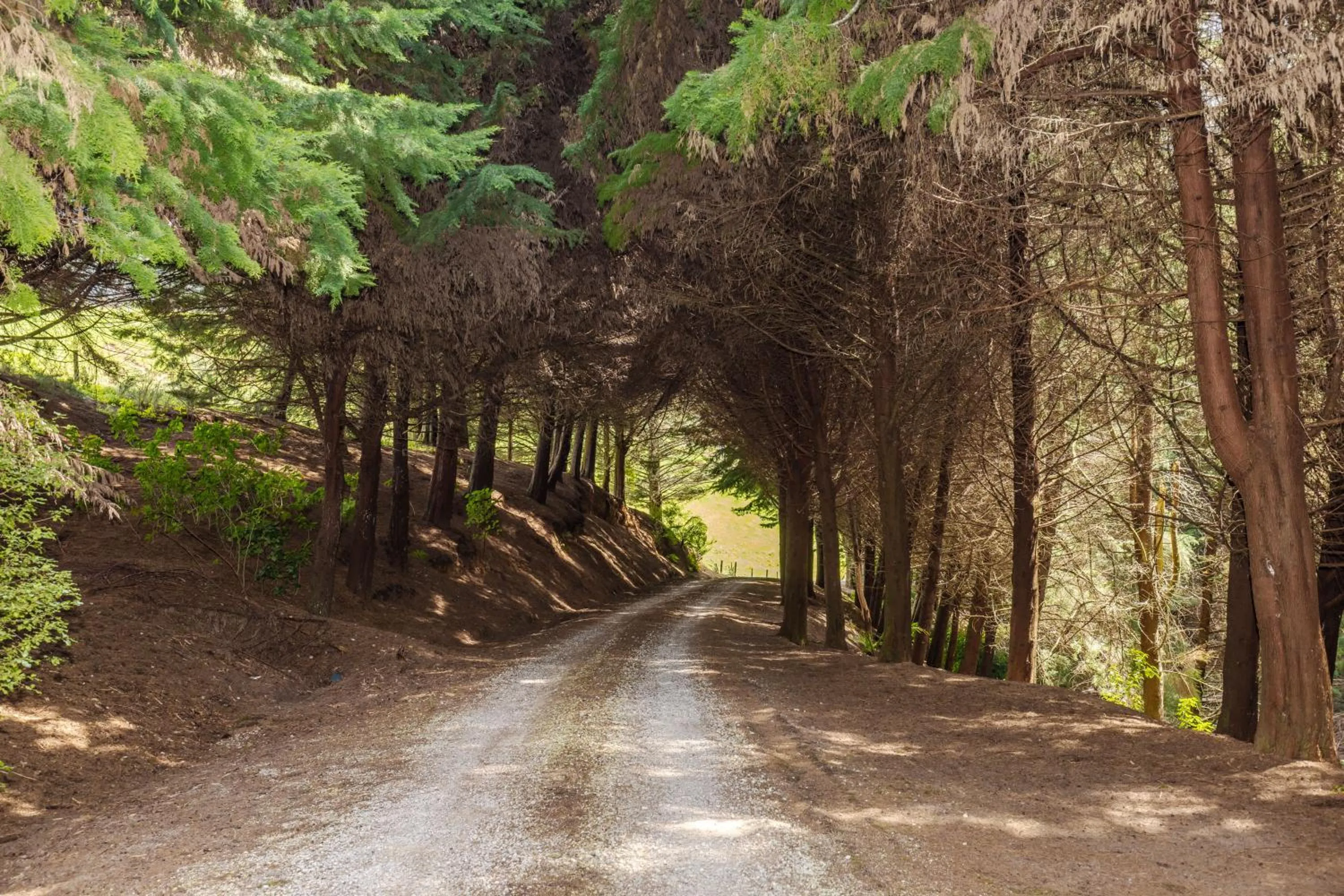 Facade/entrance in Nadarra Hideaway