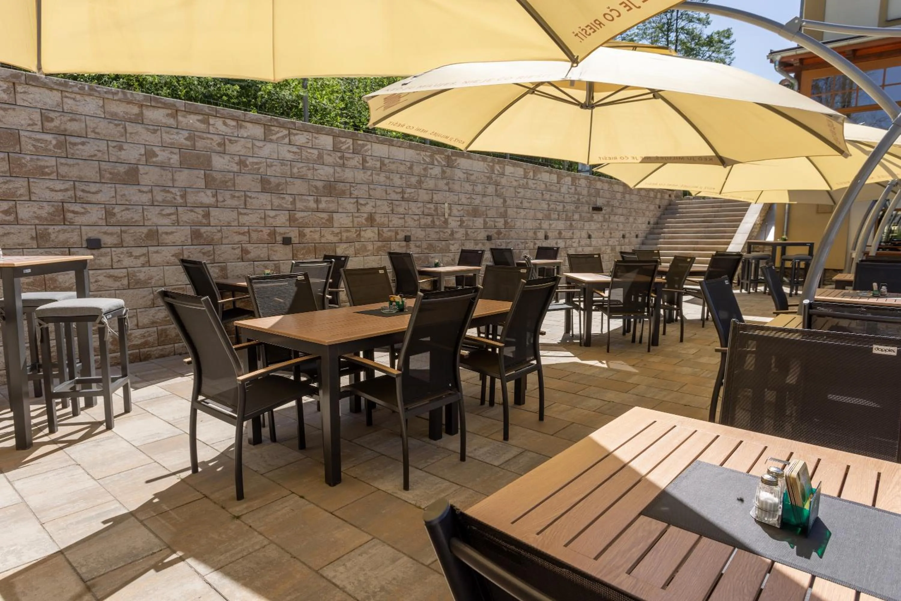 Patio in Hotel Praděd Thamm