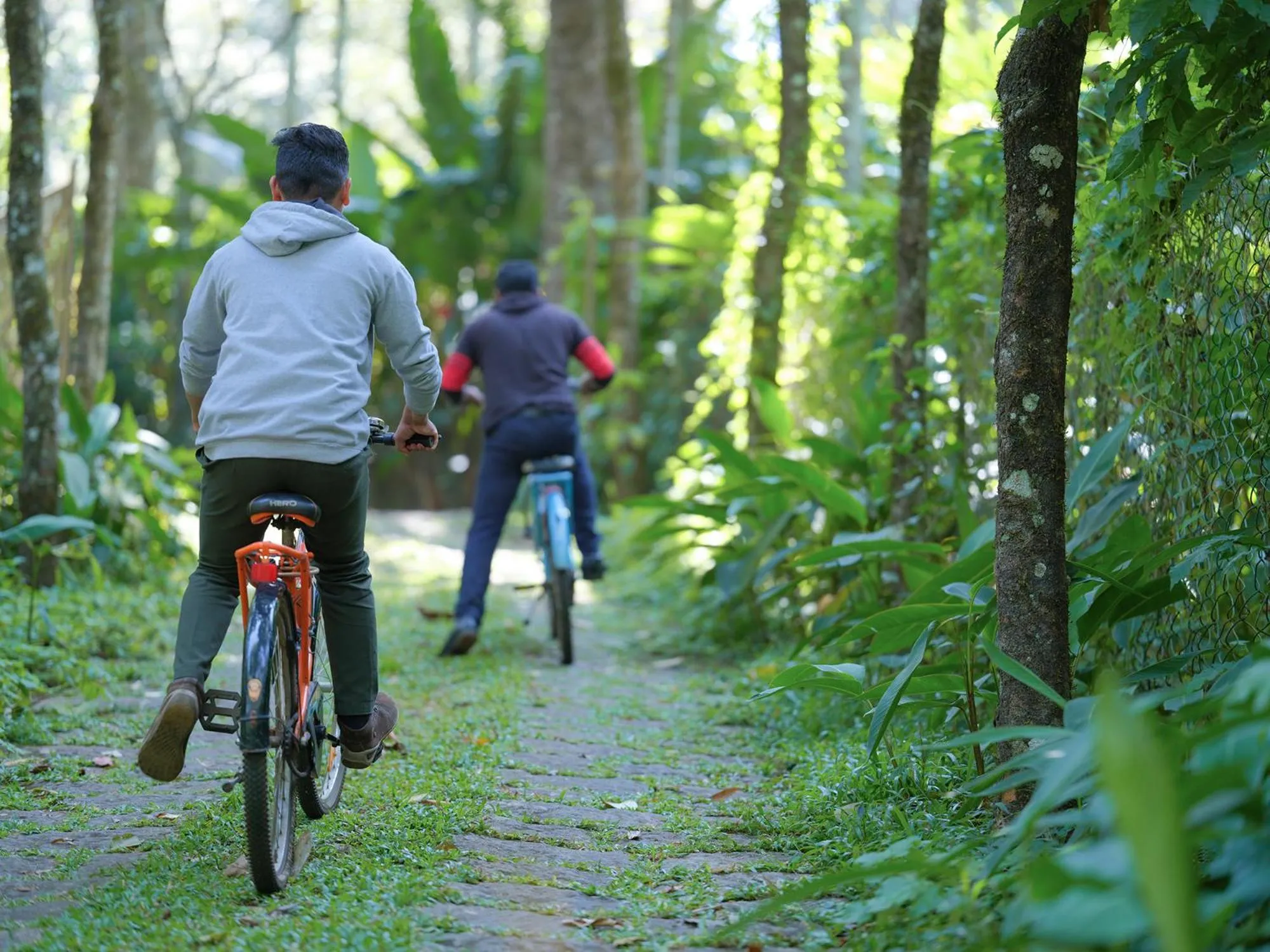 Activities in Mystic Mayapott, Thekkady