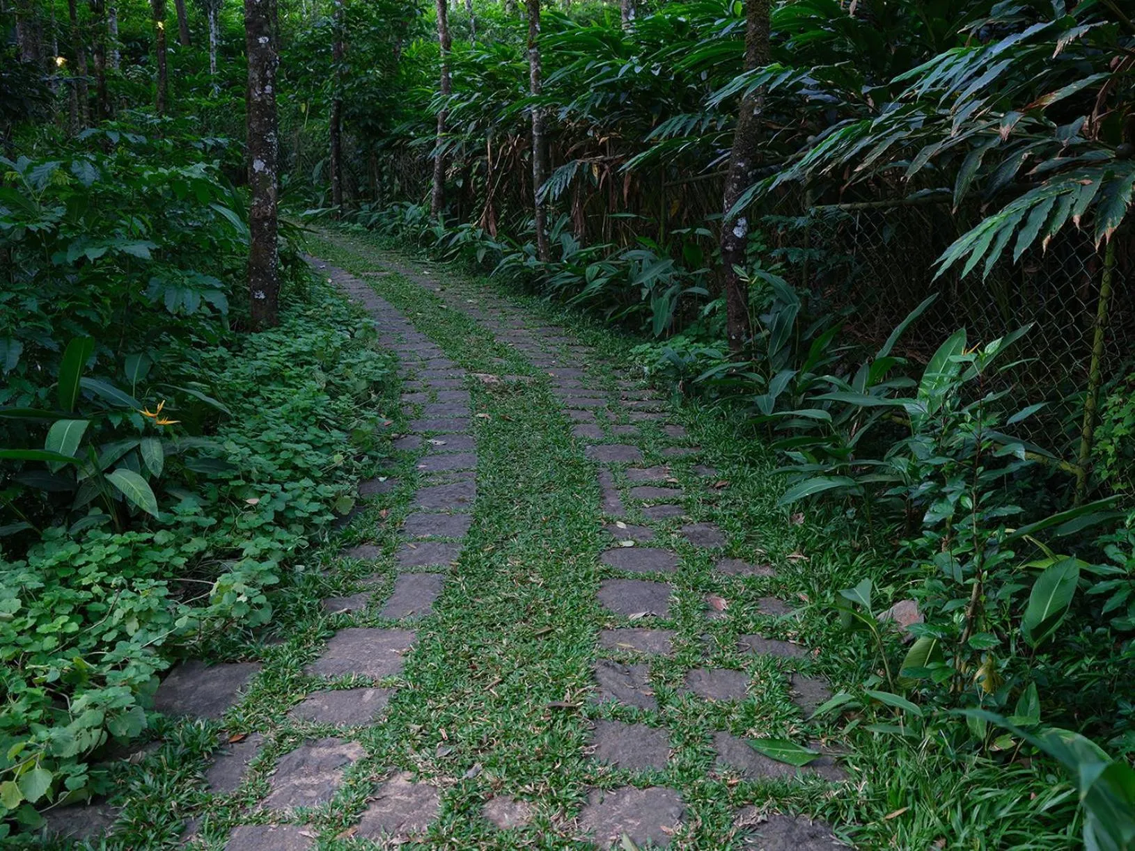 Garden in Mystic Mayapott, Thekkady