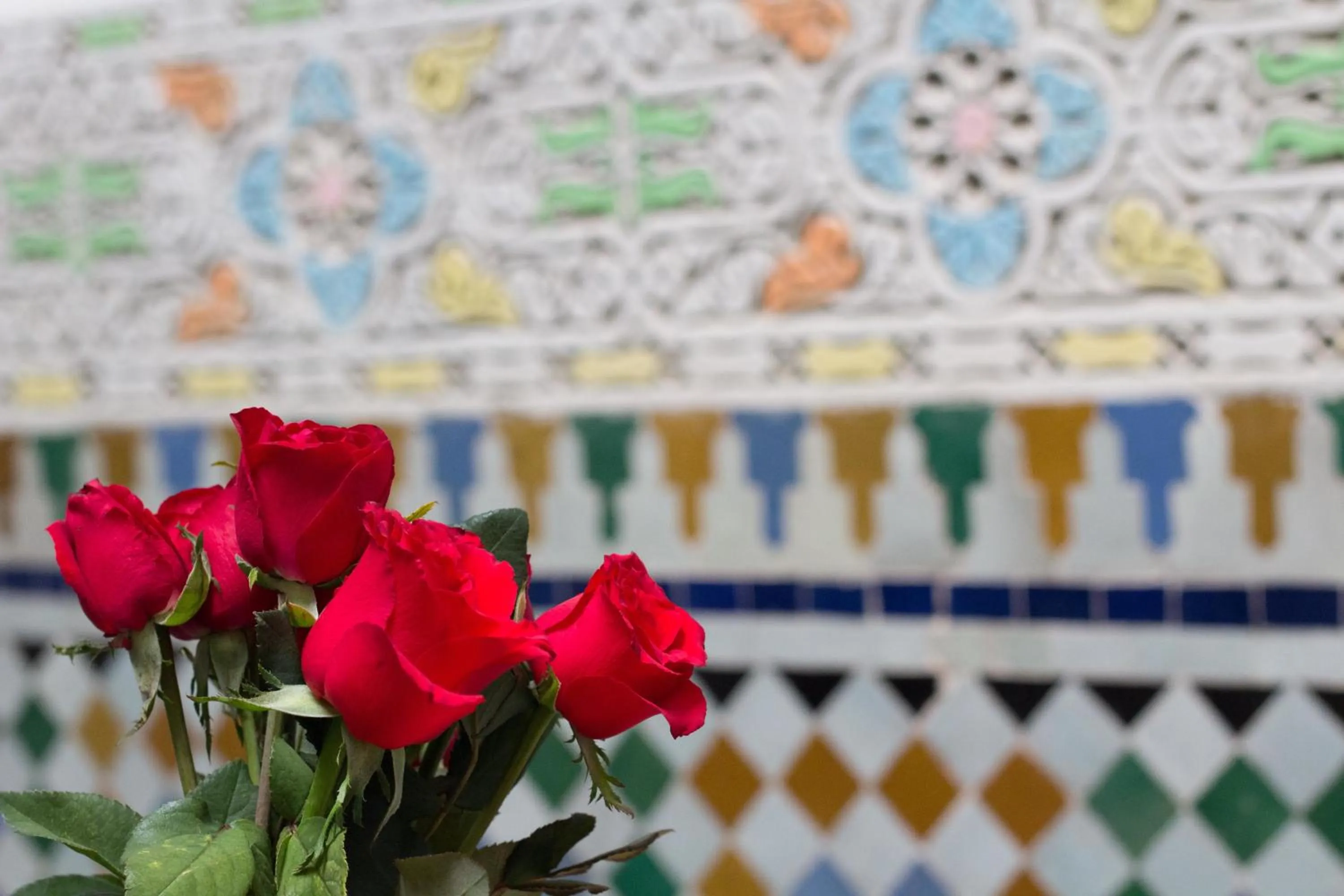 View (from property/room) in Riad El Bacha