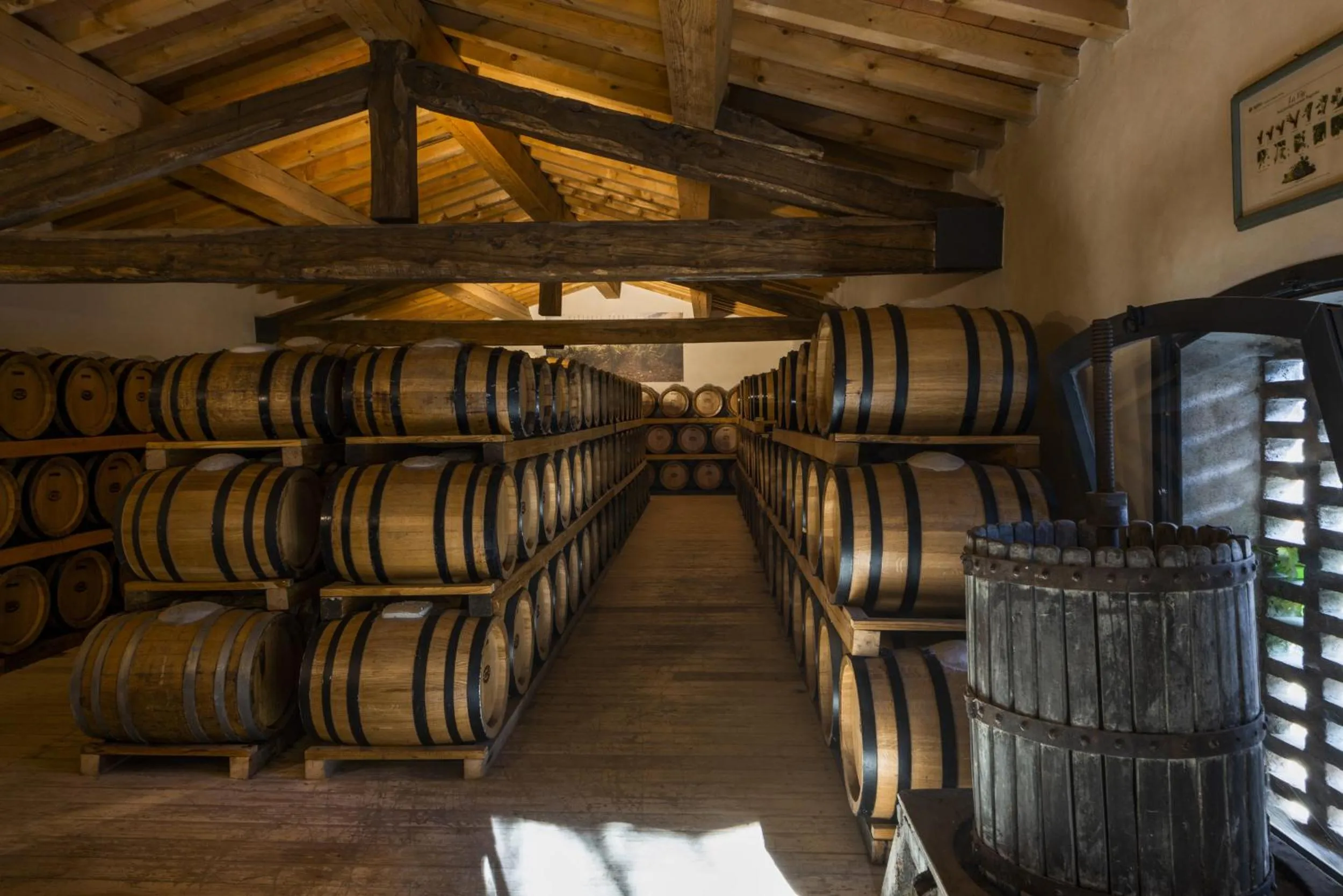 Other in Torre a Cona Wine Estate