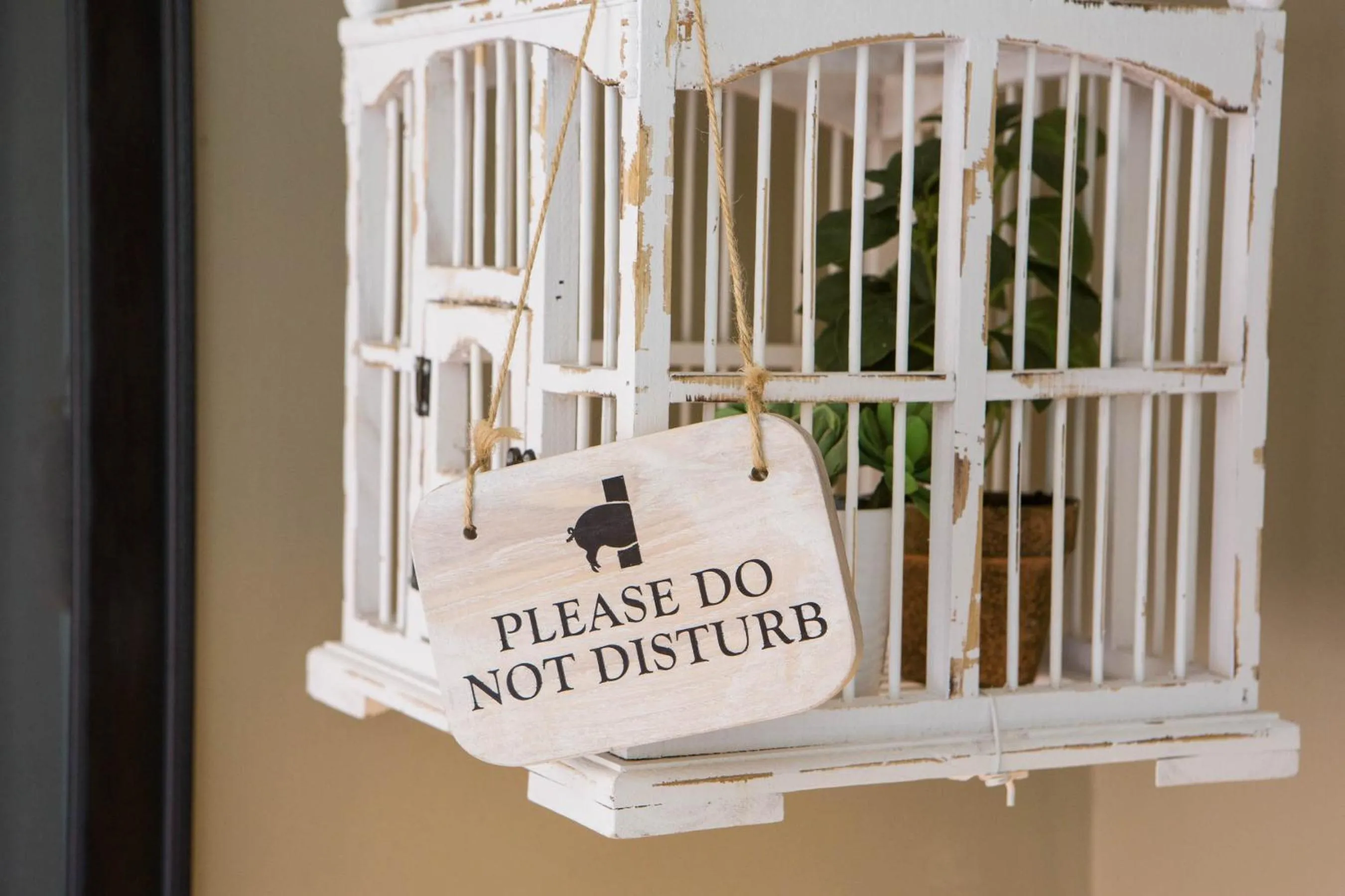 Decorative detail in The Curious Pig in the Parlour