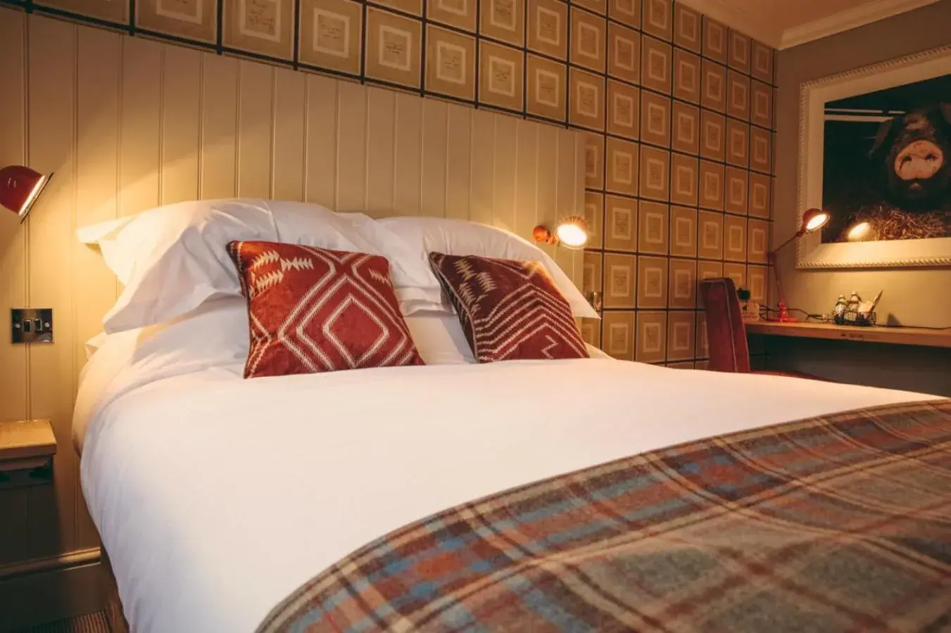 Cozy Double Room - single occupancy in The Curious Pig in the Parlour Cozy Double Room - single occupancy in The Curious Pig in the Parlour