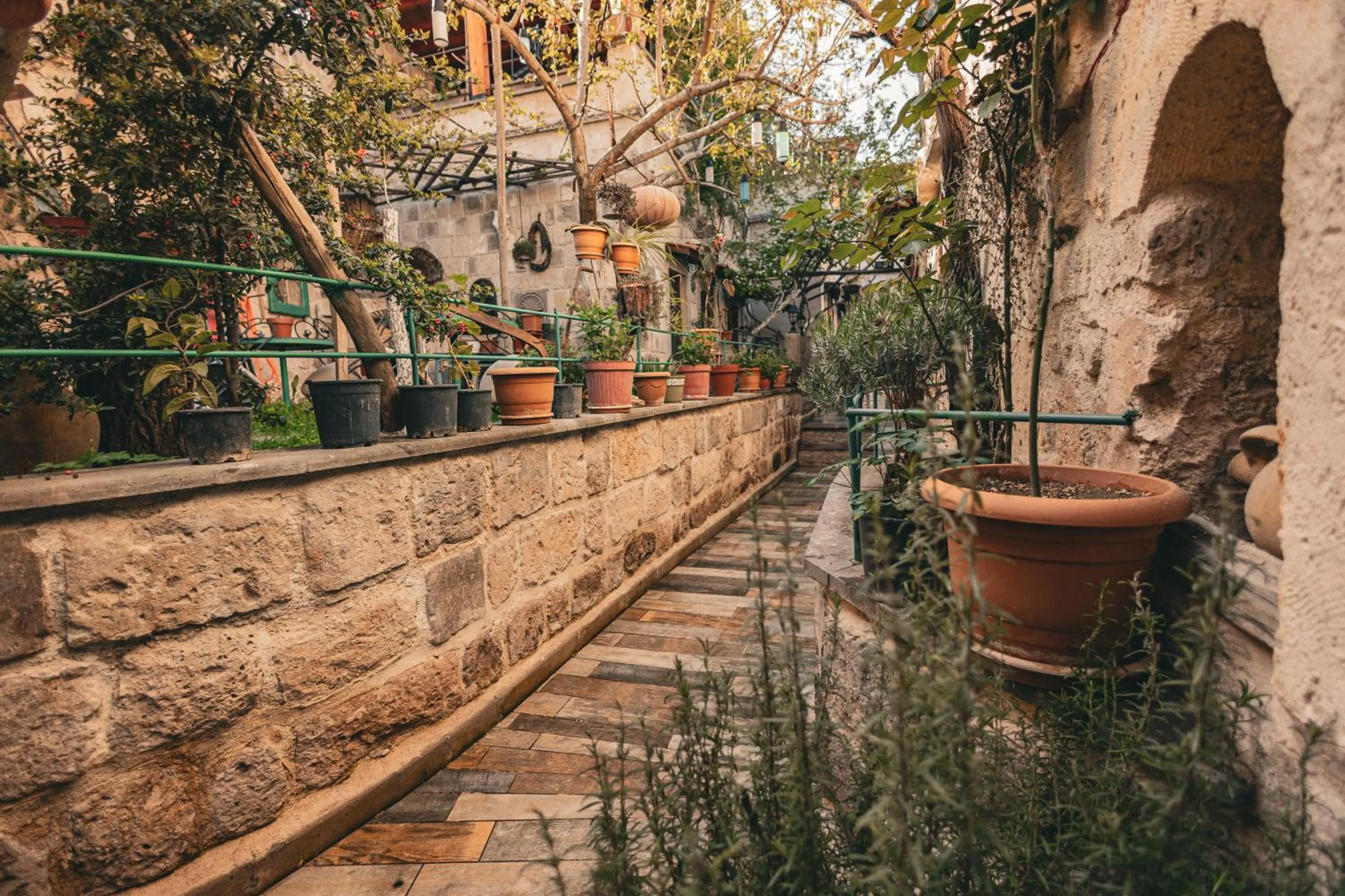 Garden in Vintage Cave House Hotel