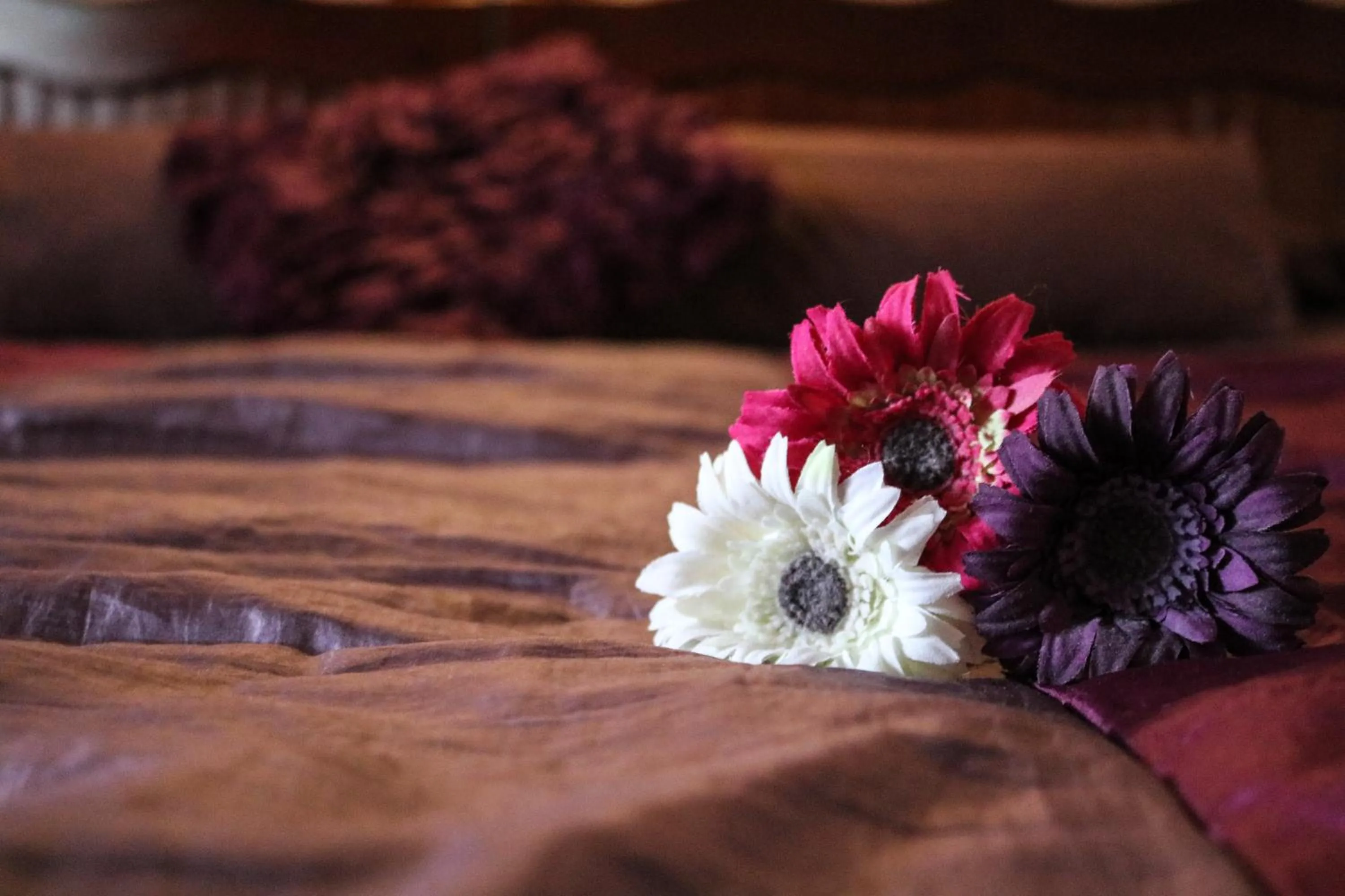 Bed in Hostal Rural La Plata Parking Incluido