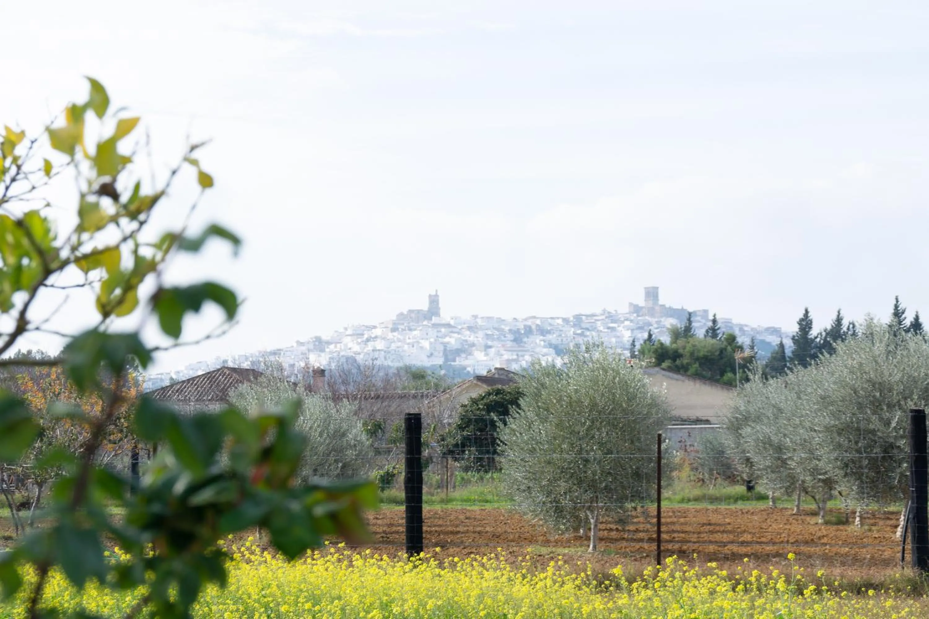 Nearby landmark in Hostal Rural La Plata Parking Incluido