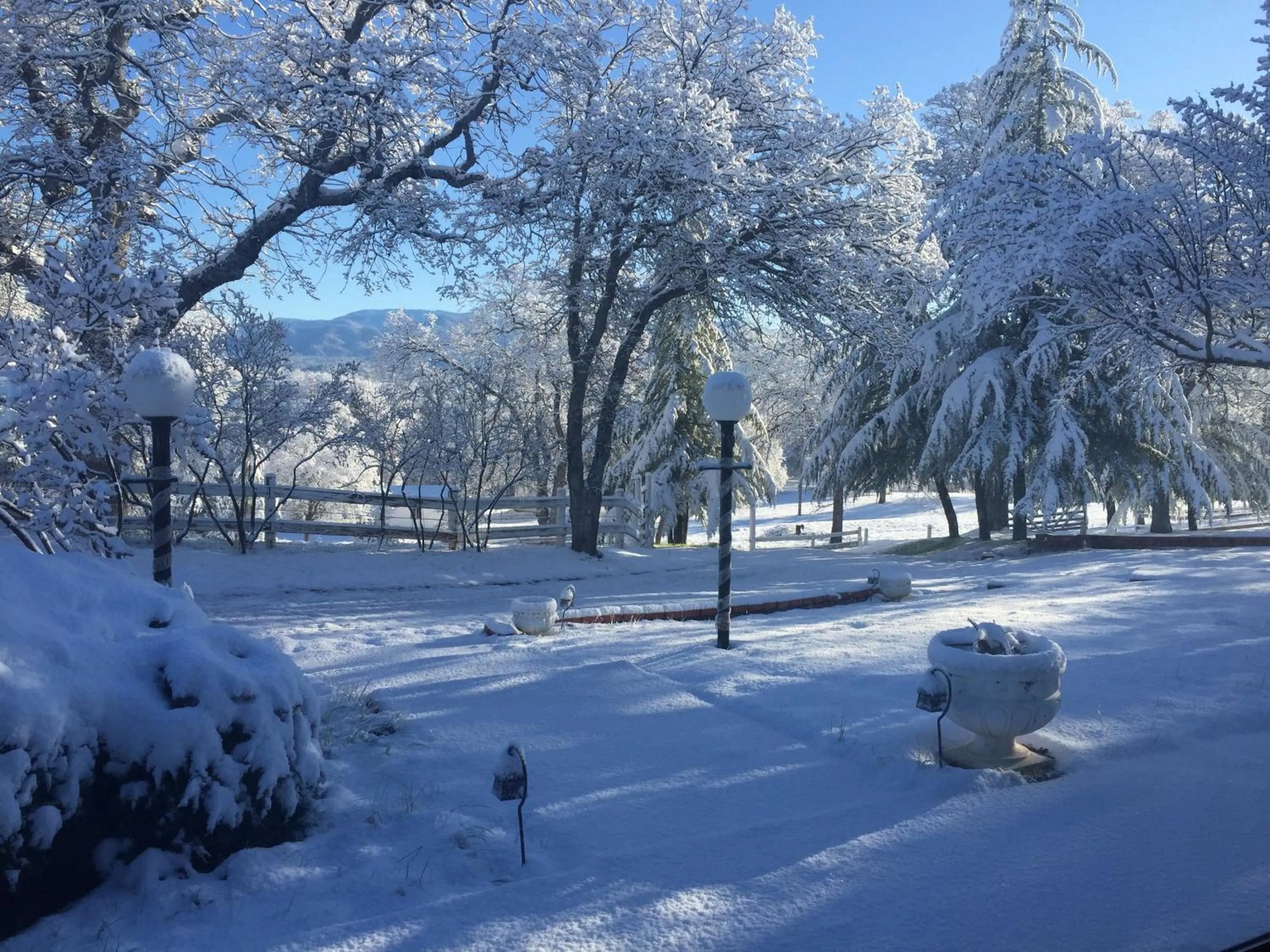 Natural landscape in Moon Ranch - a gateway to Yosemite