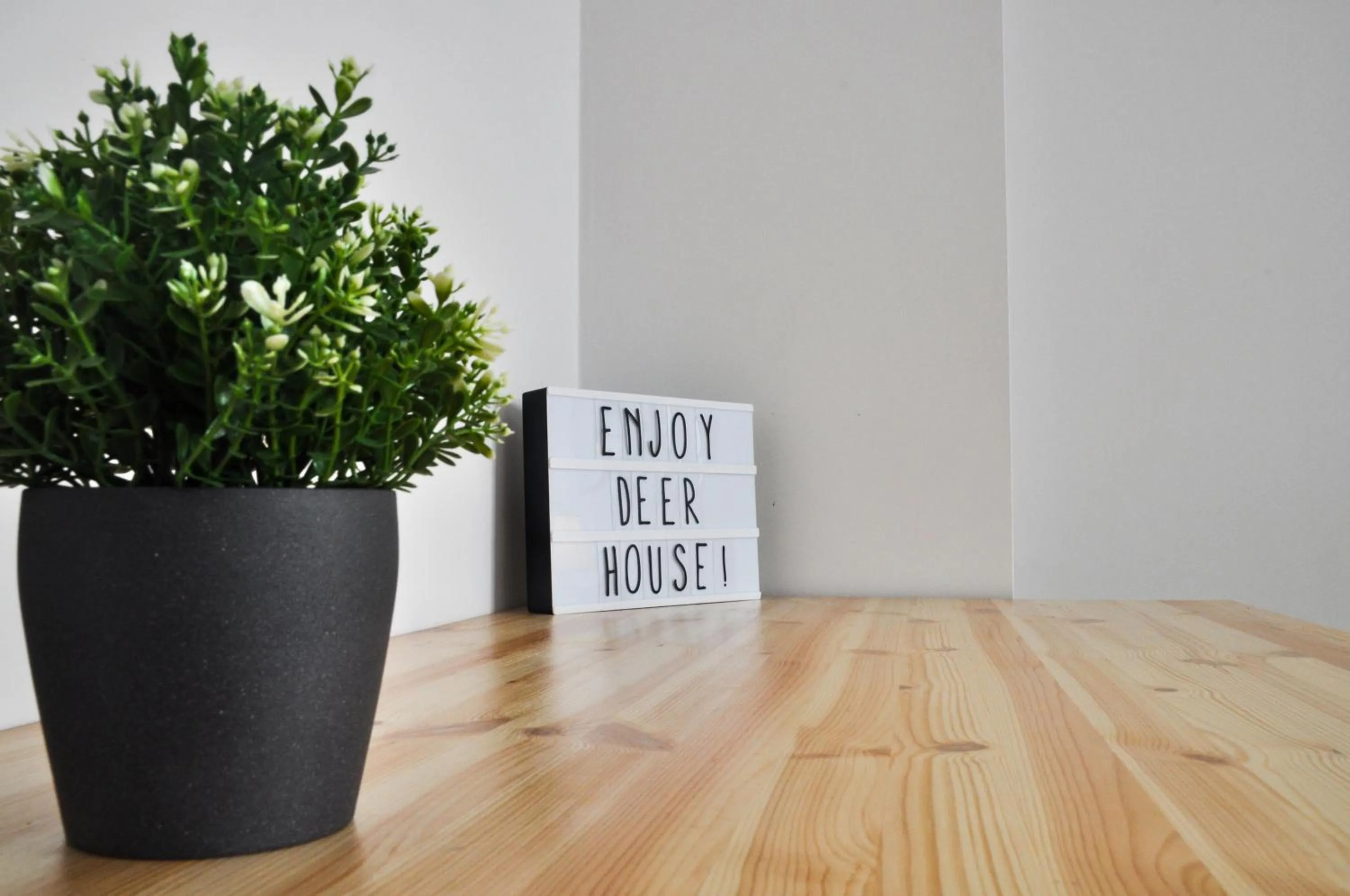 Seating area in Deer House BnB