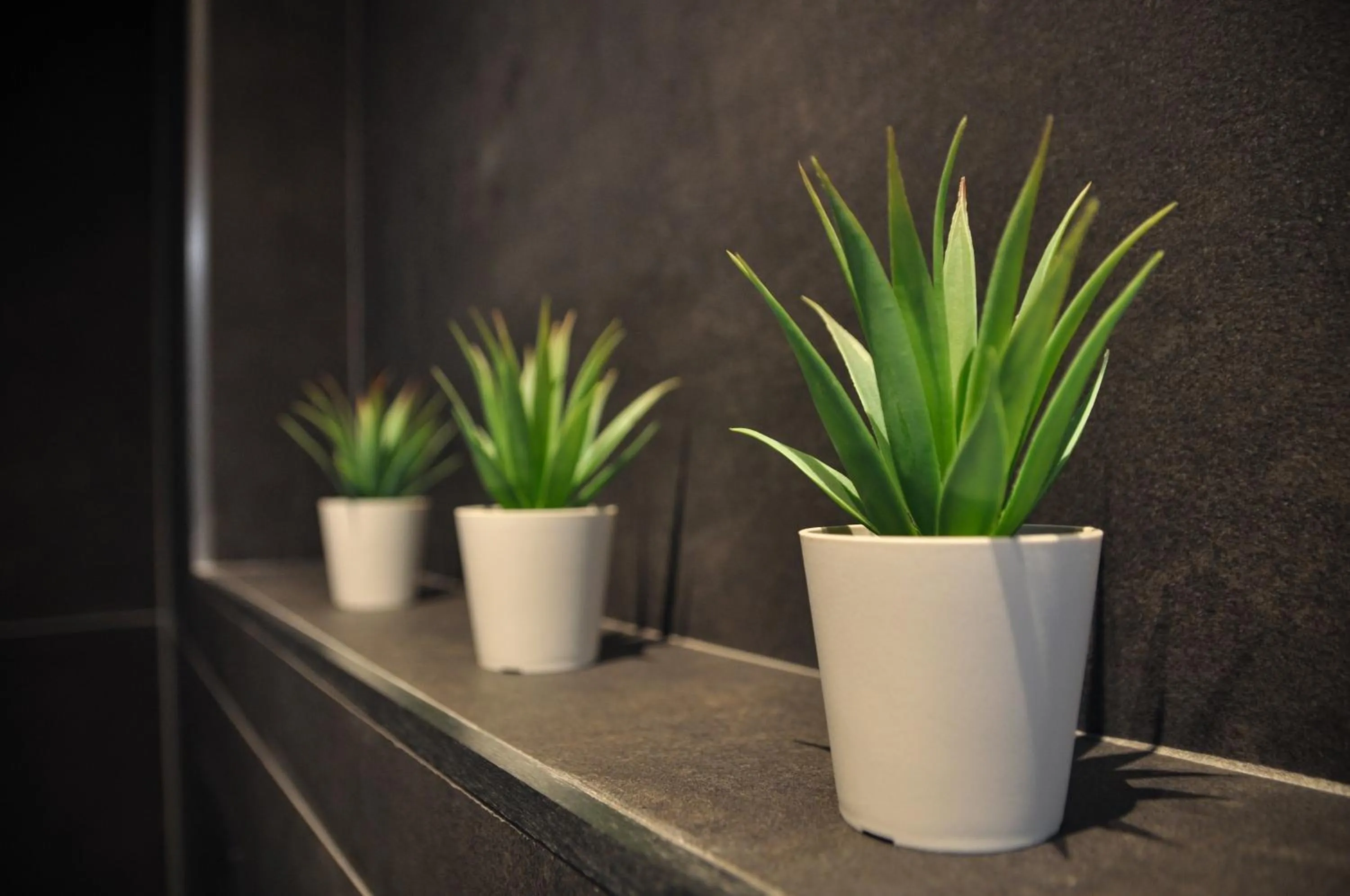 Bathroom in Deer House BnB