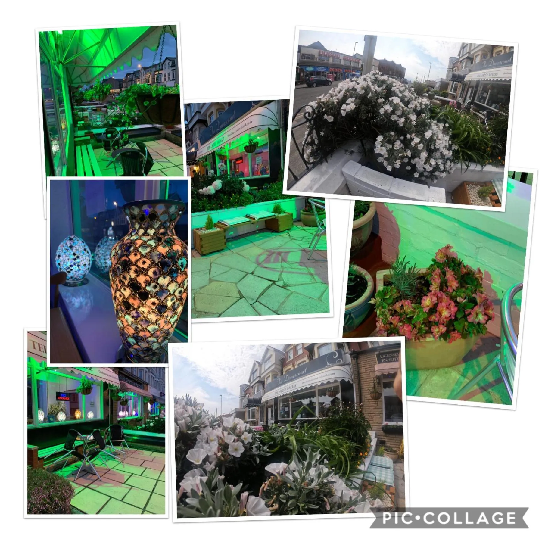 Garden in Granville Hotel