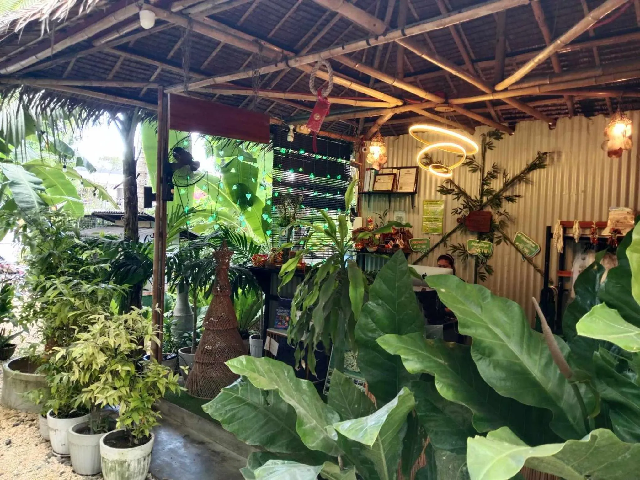 Ecostay Panglao Resort Hotel