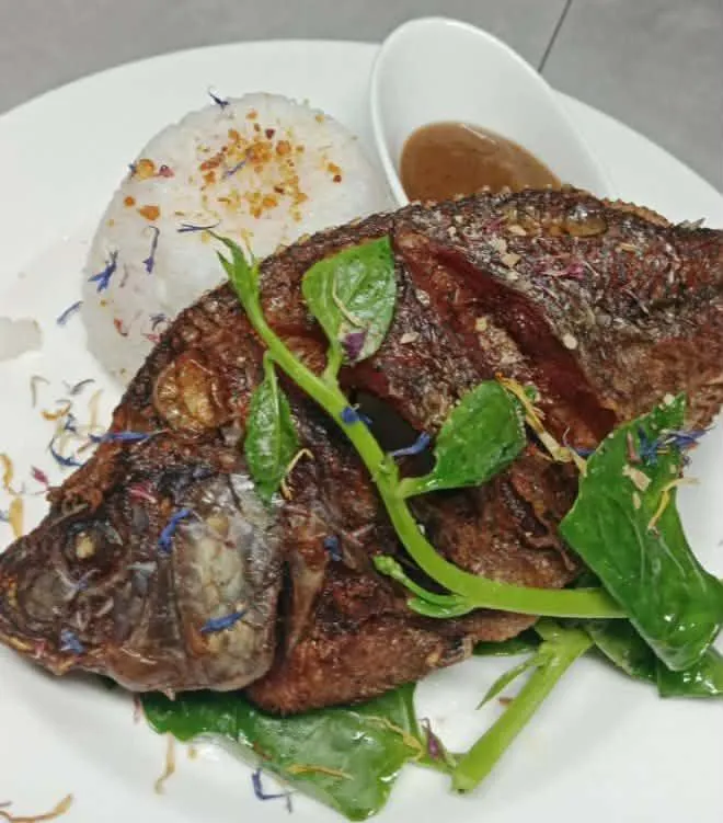 Ecostay Panglao Resort Hotel