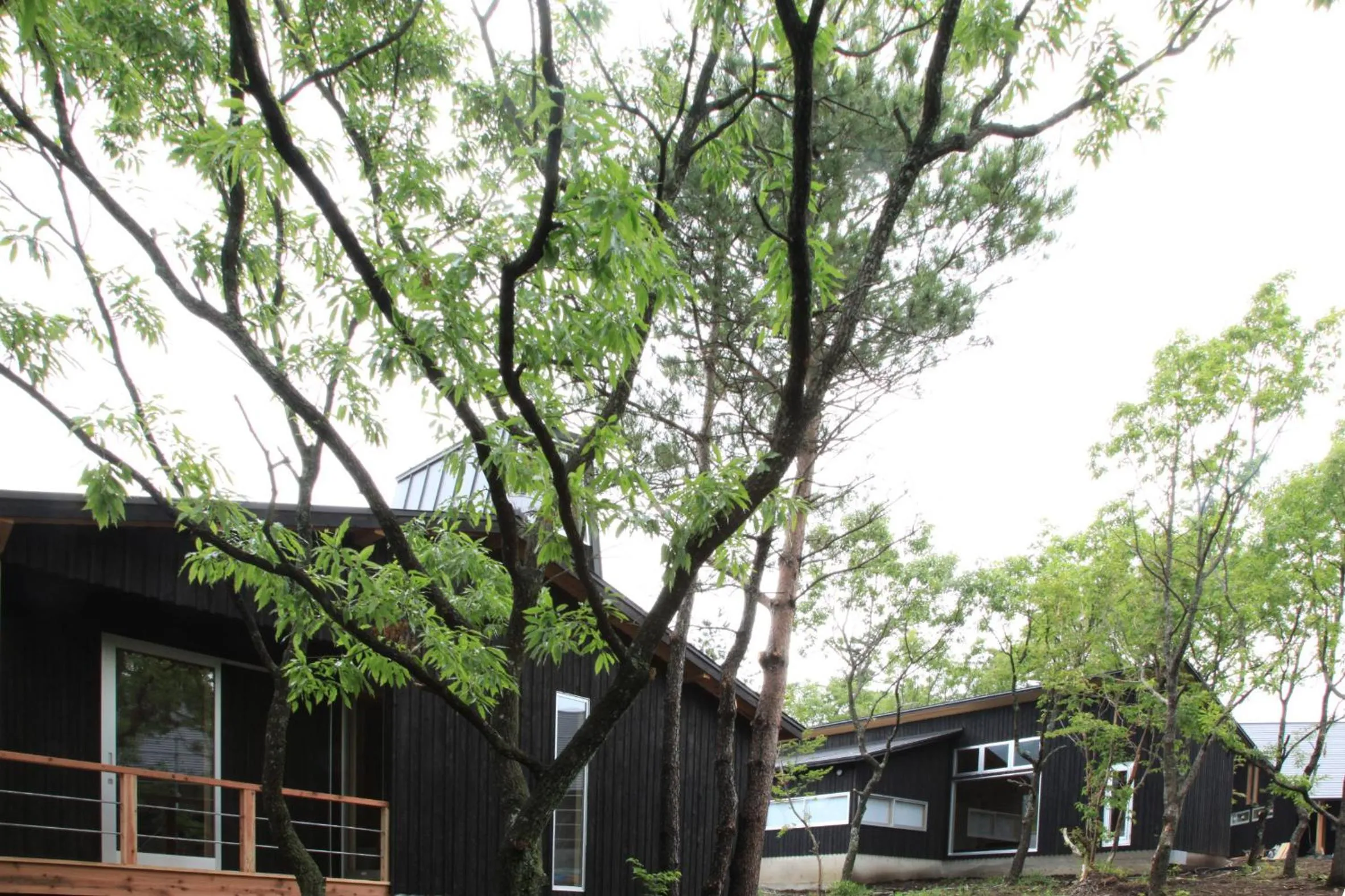 Property building in Lodge Toranoyu