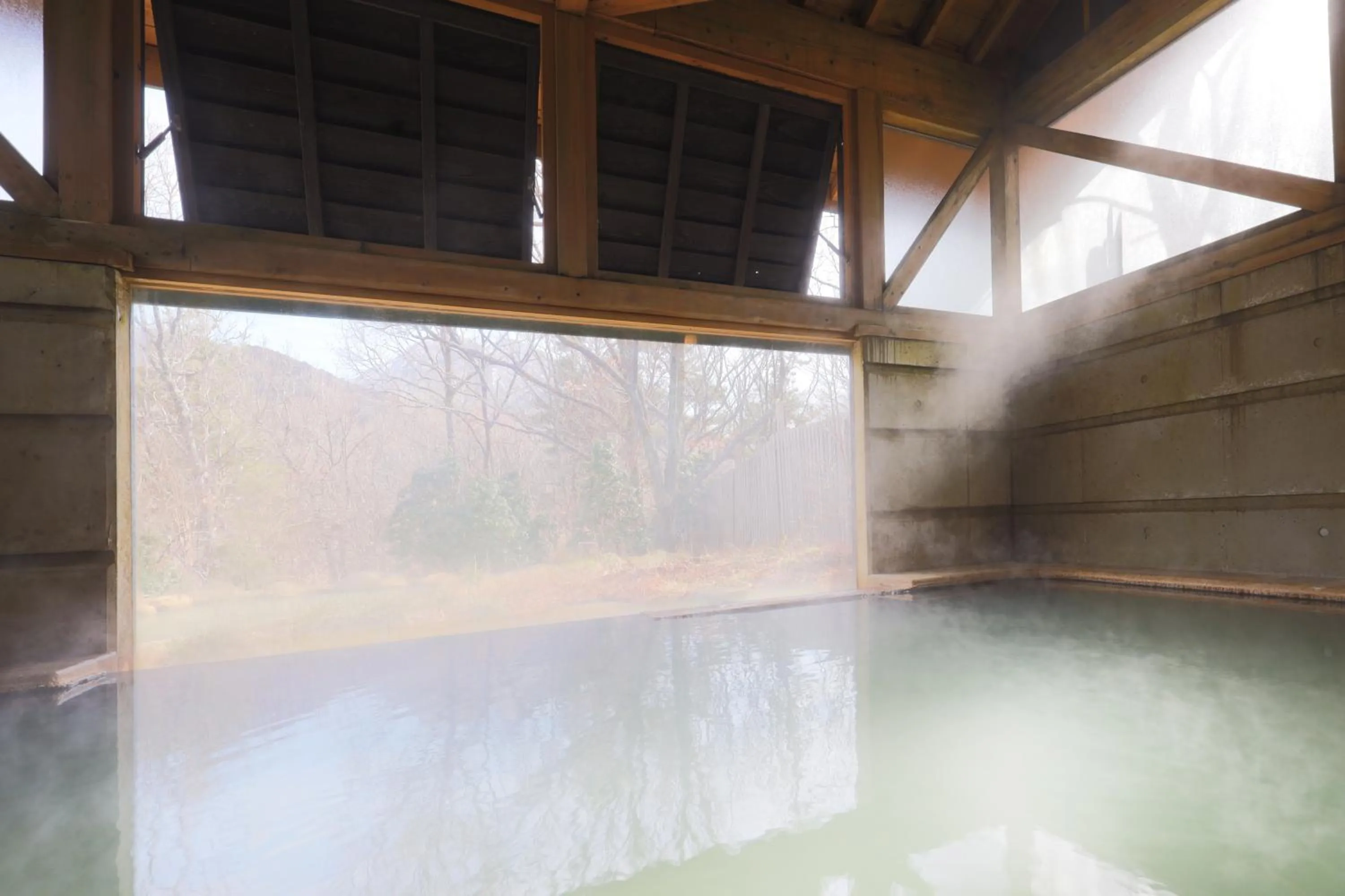 Public Bath in Lodge Toranoyu