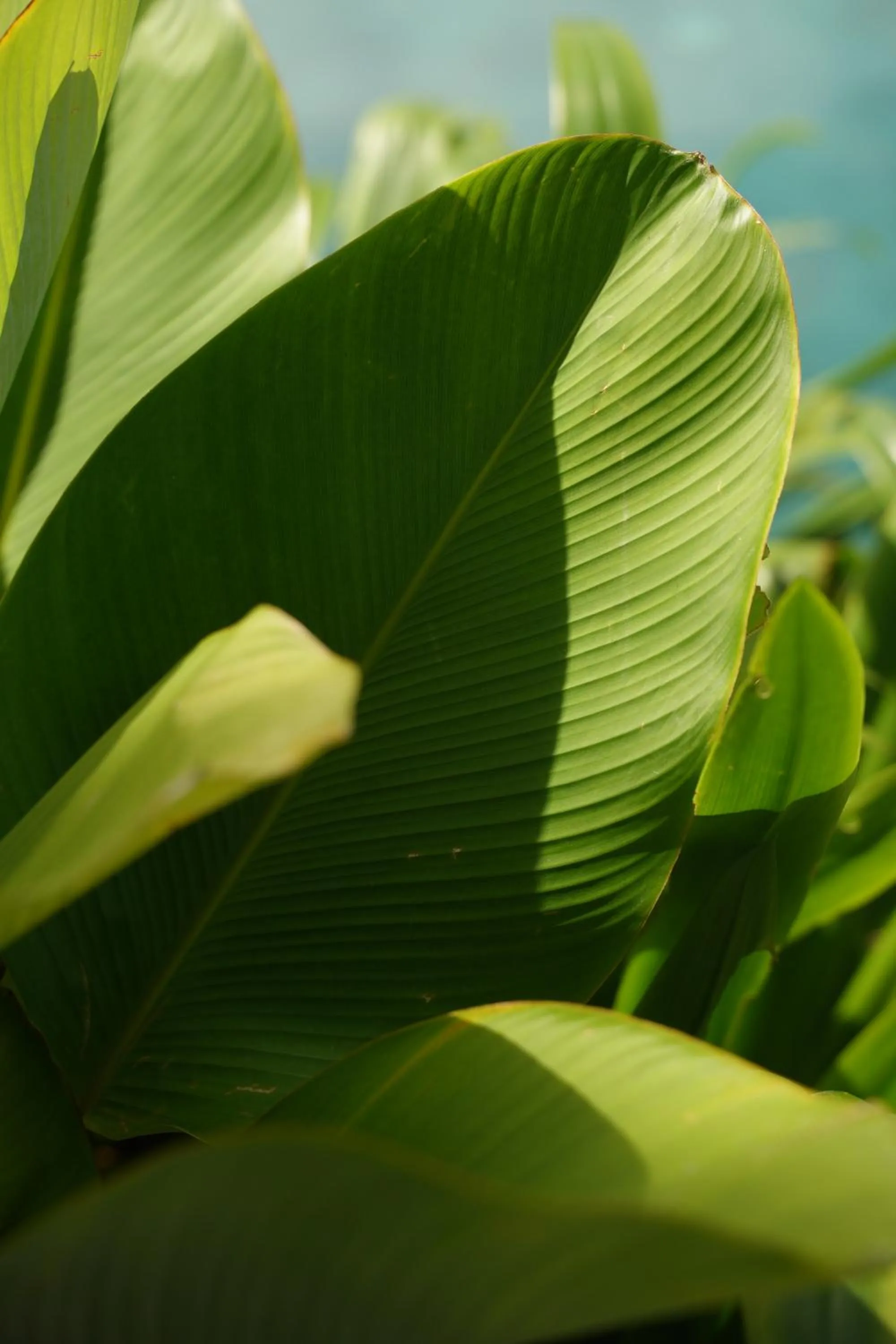 View (from property/room) in The Garcia Ubud Hotel & Resort