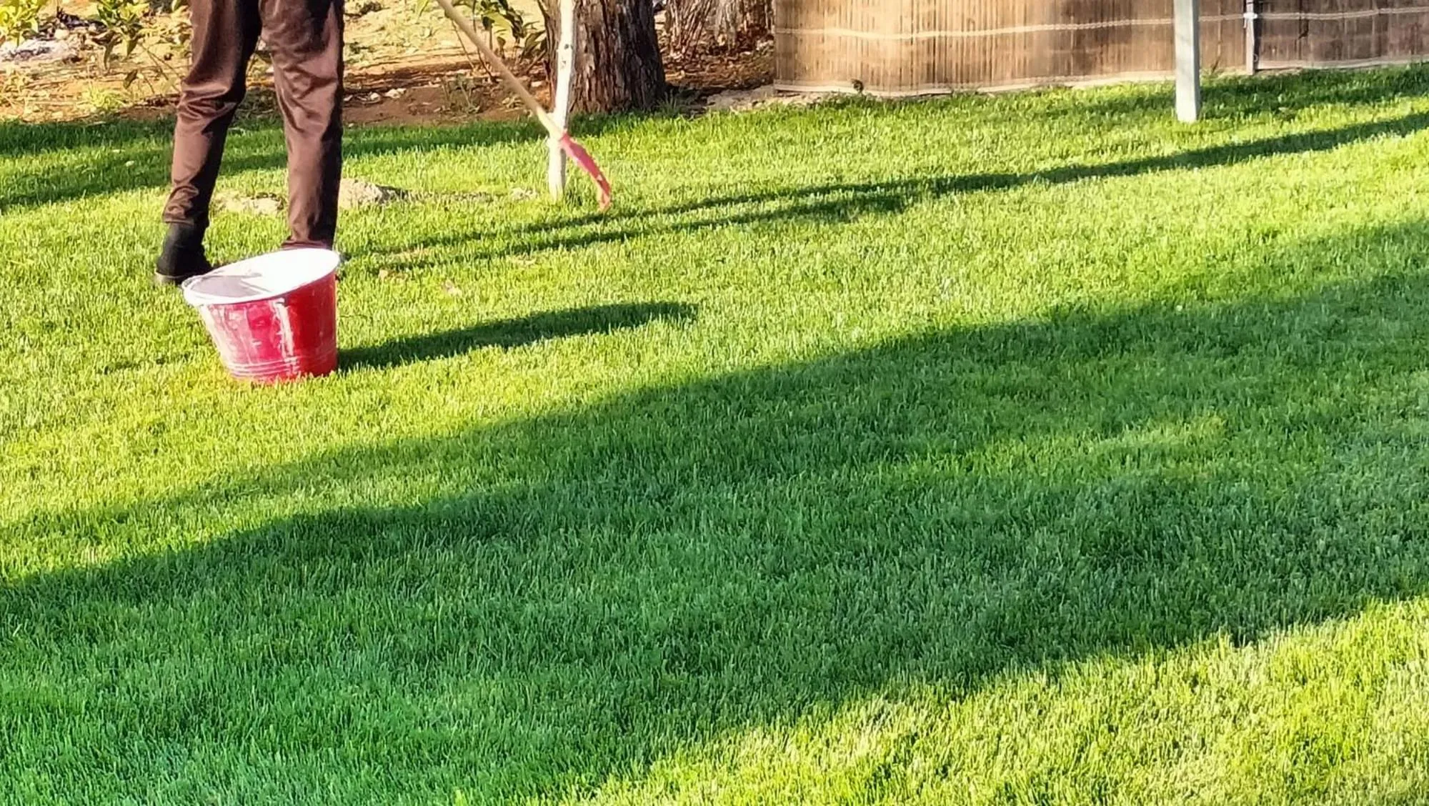 Garden in B&B Villa VITTORIO