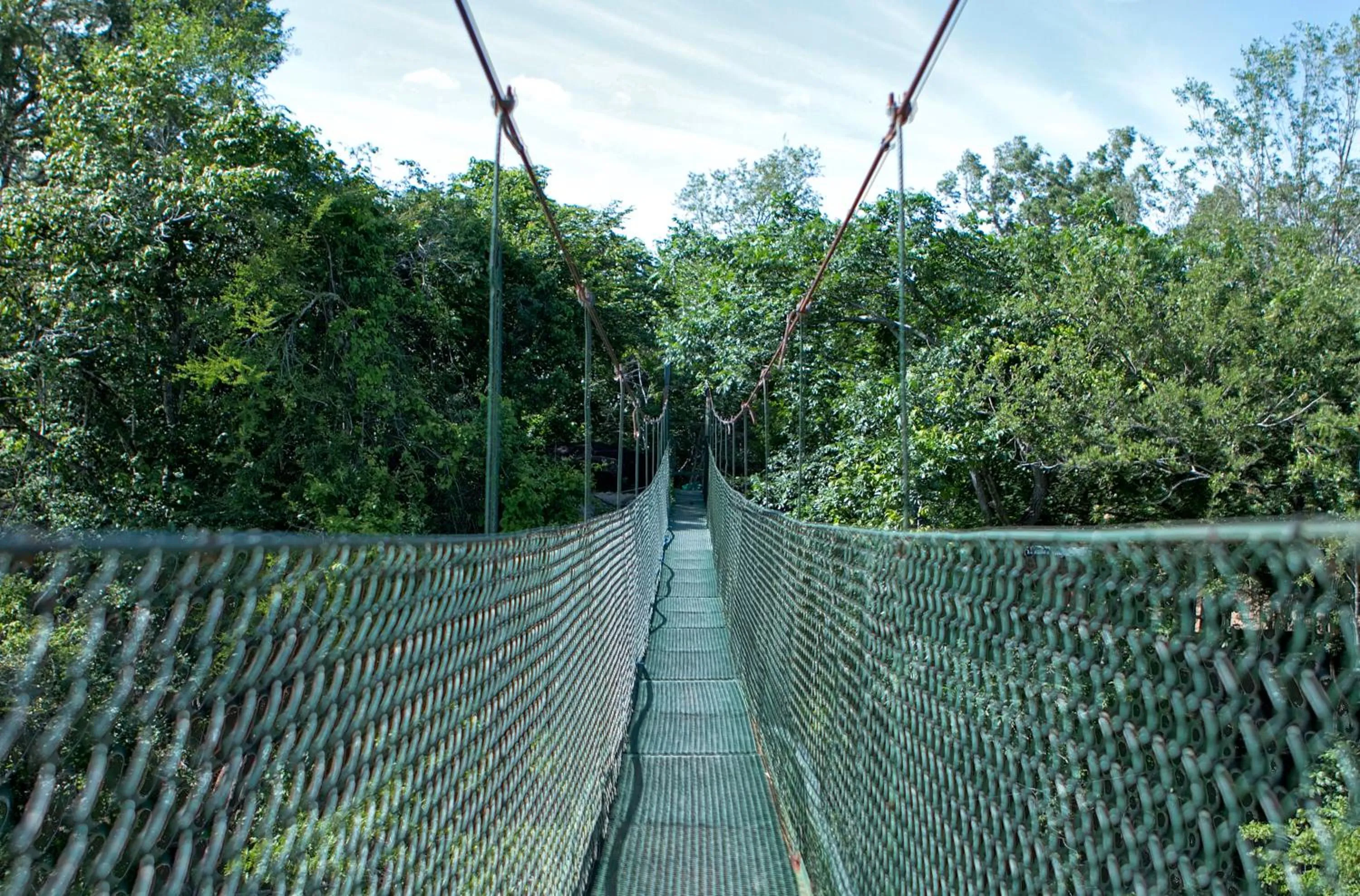 Hiking in Cañon de la Vieja Lodge