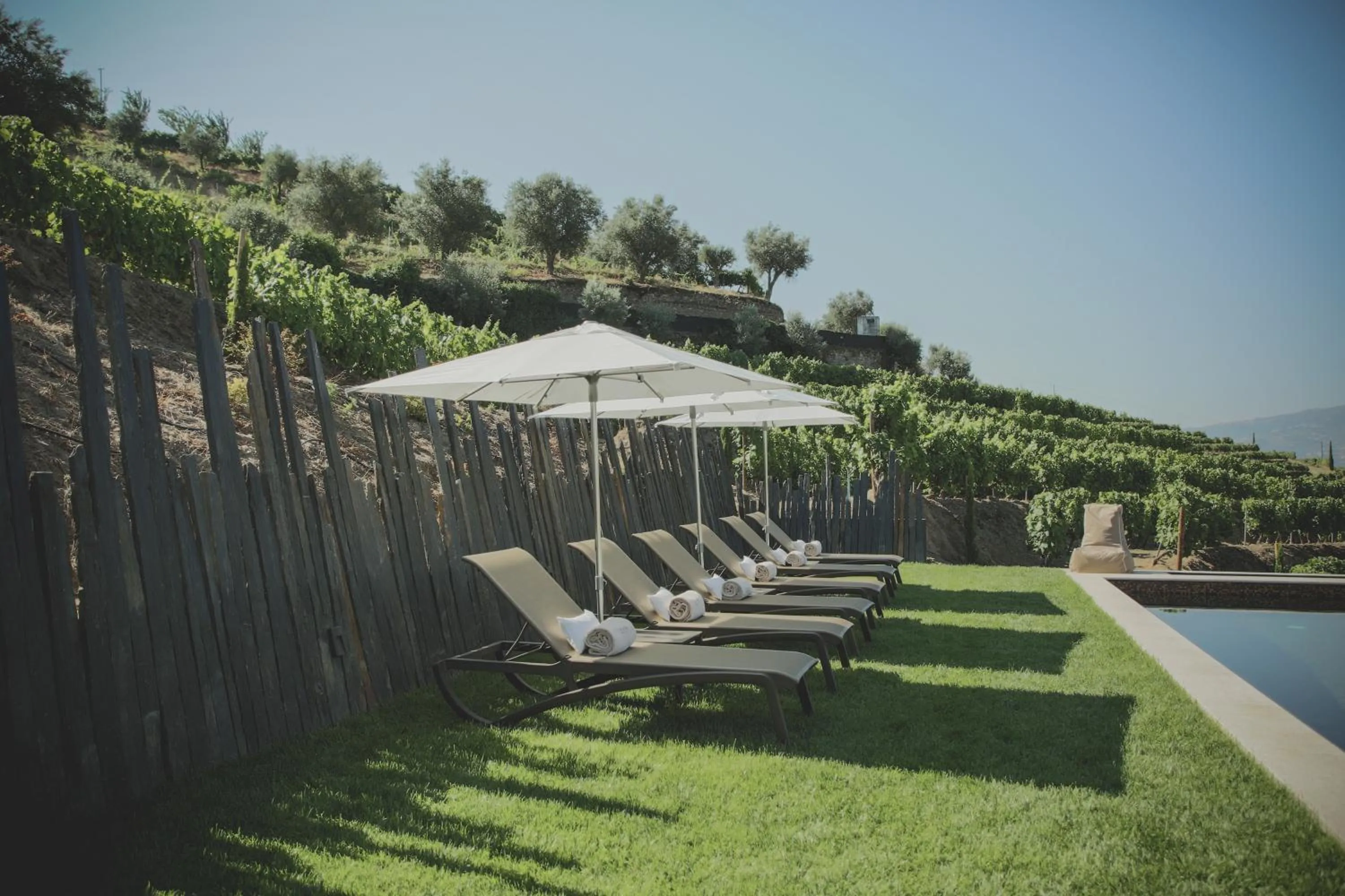 Swimming pool in Casal dos Capelinhos - Douro