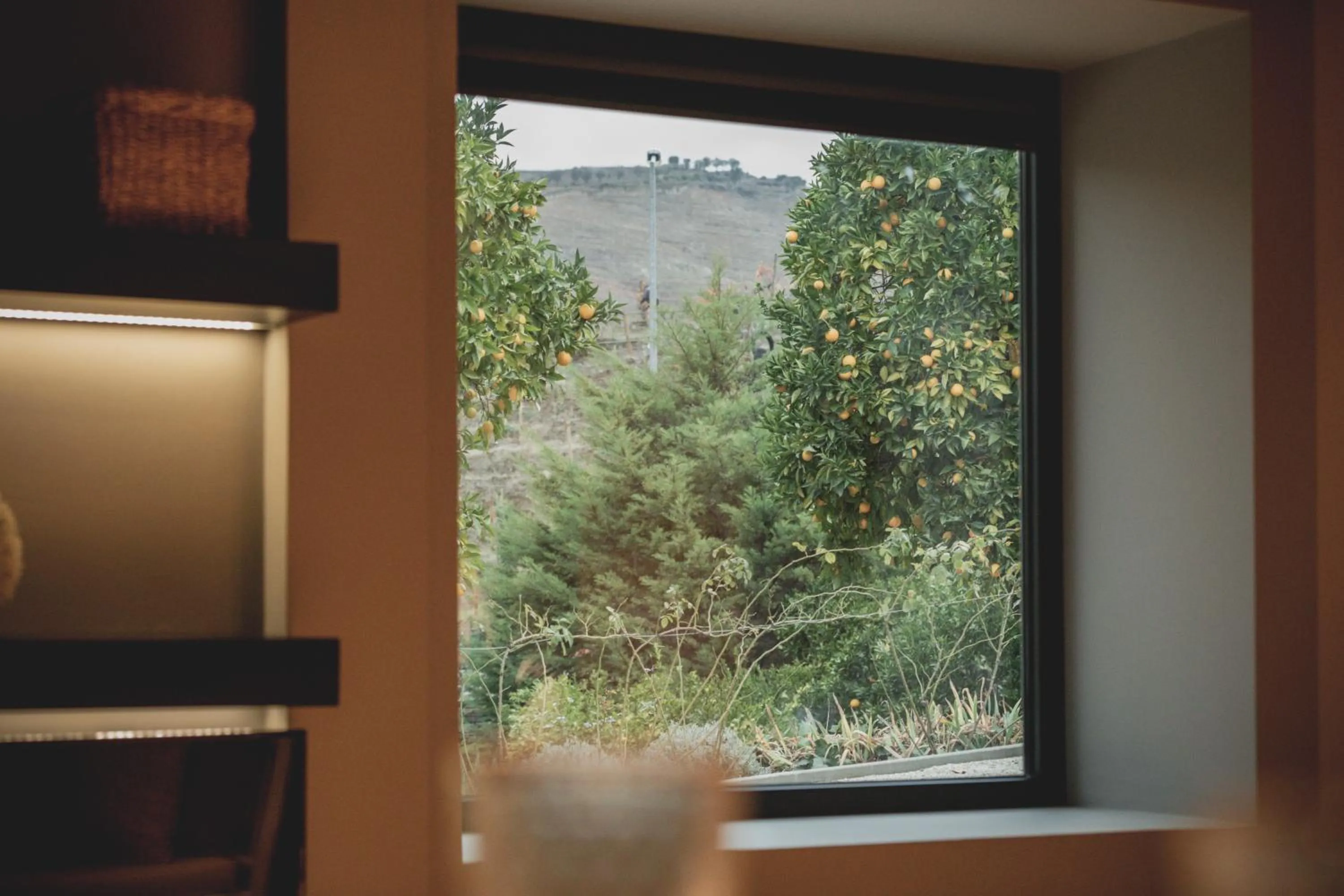 Garden view in Casal dos Capelinhos - Douro