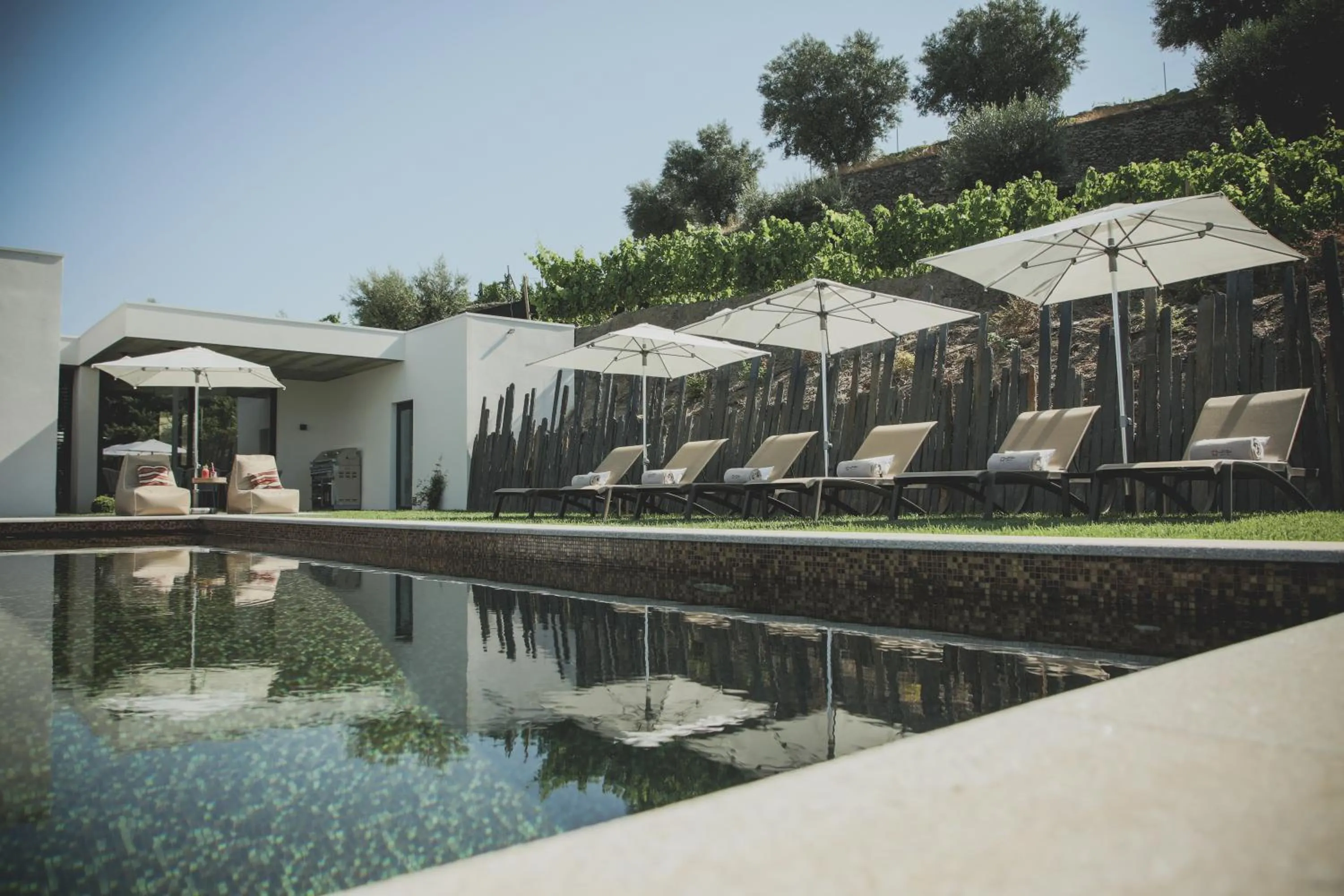 Swimming pool in Casal dos Capelinhos - Douro