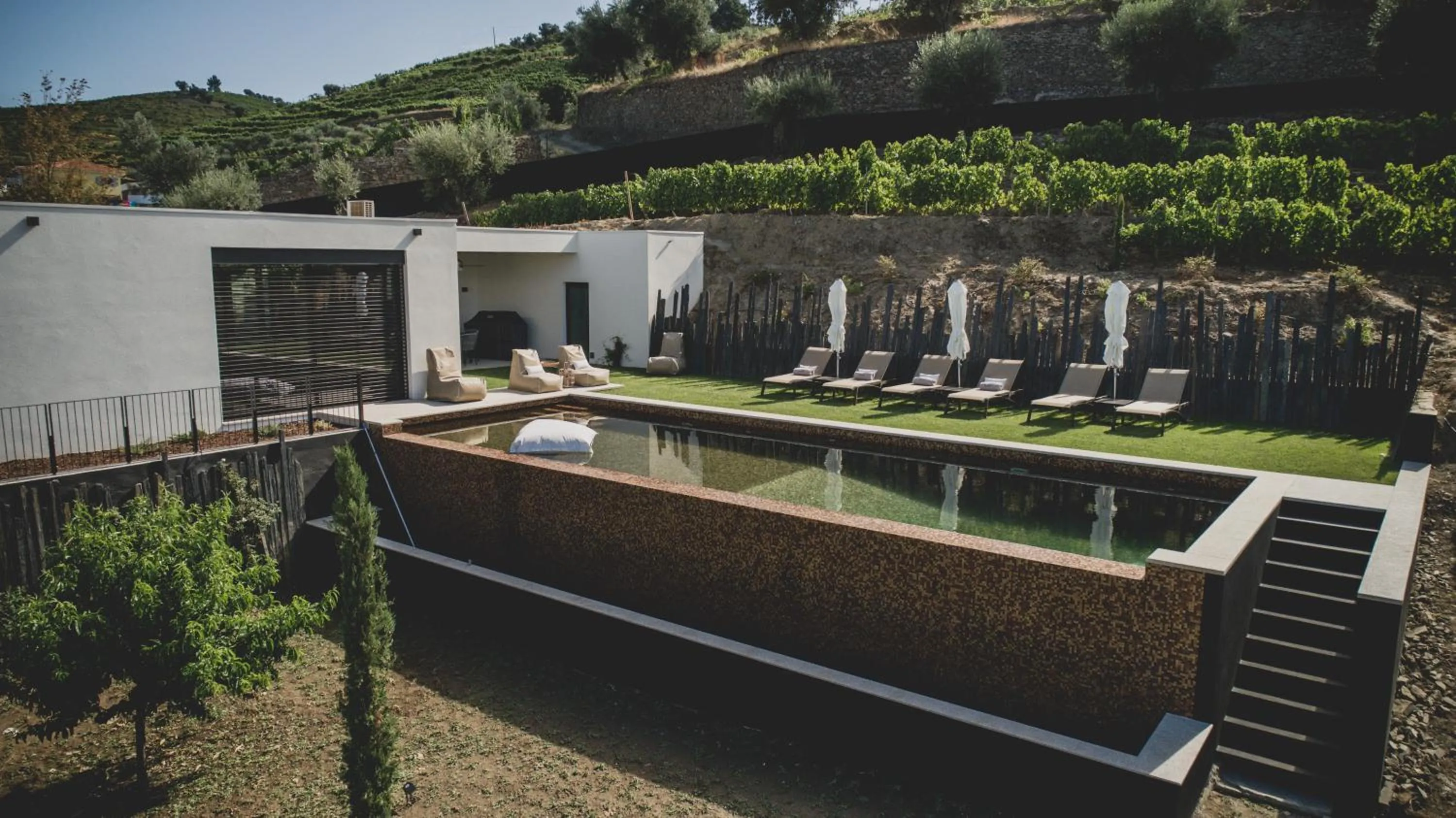 Swimming pool in Casal dos Capelinhos - Douro