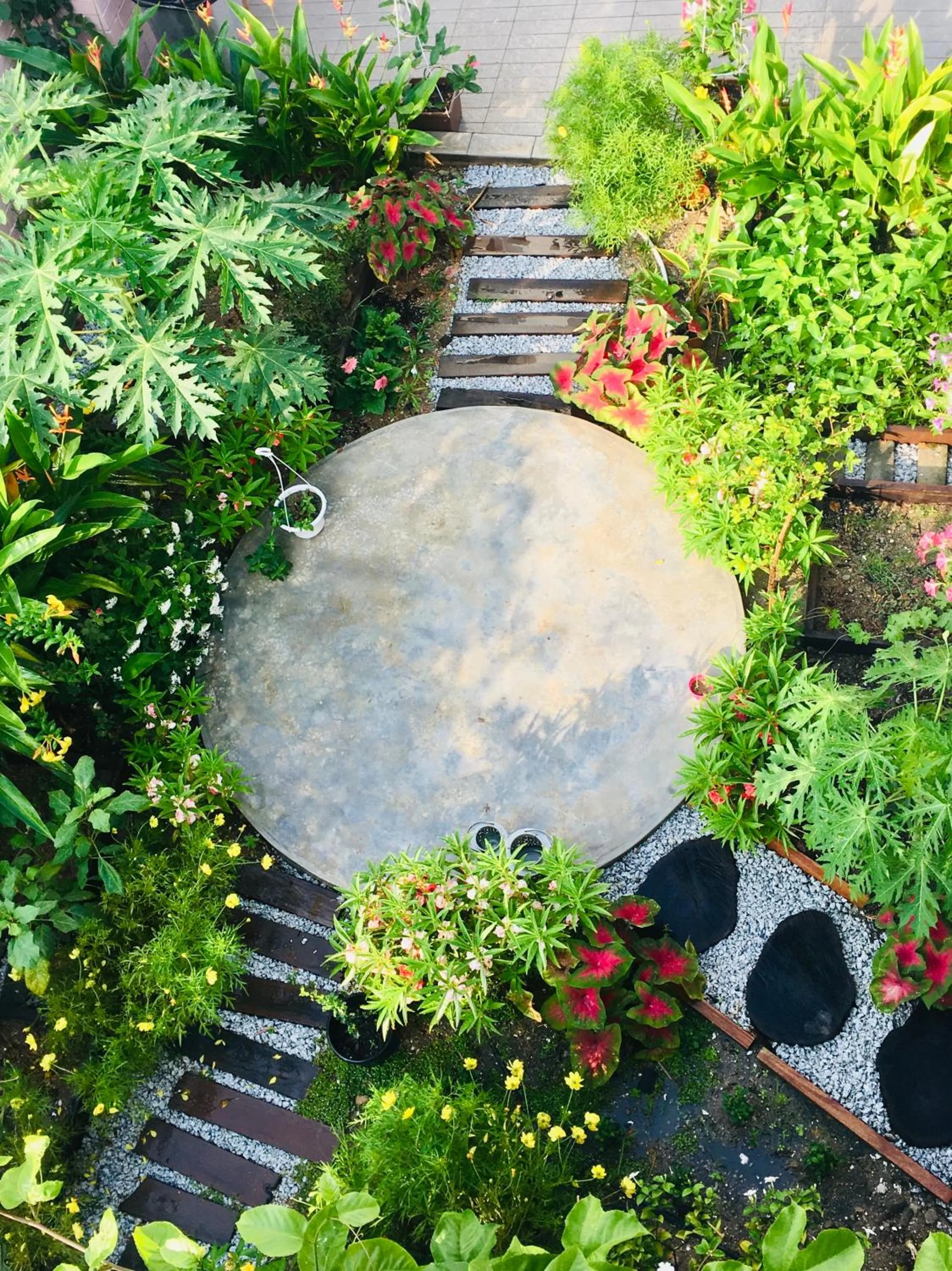 Smell rose beach garden花语海沙滩花园