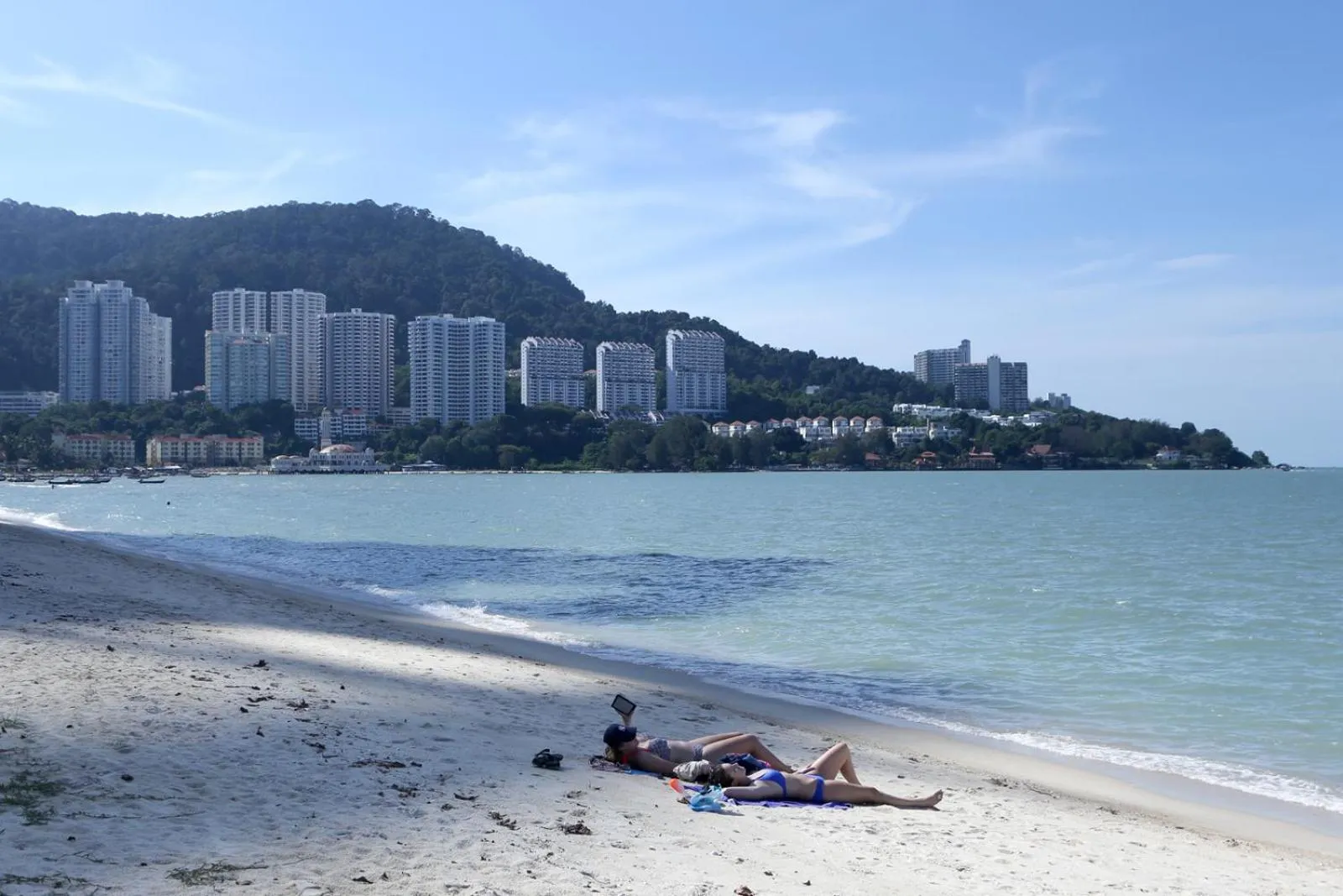 Beach in Smell rose beach garden花语海沙滩花园
