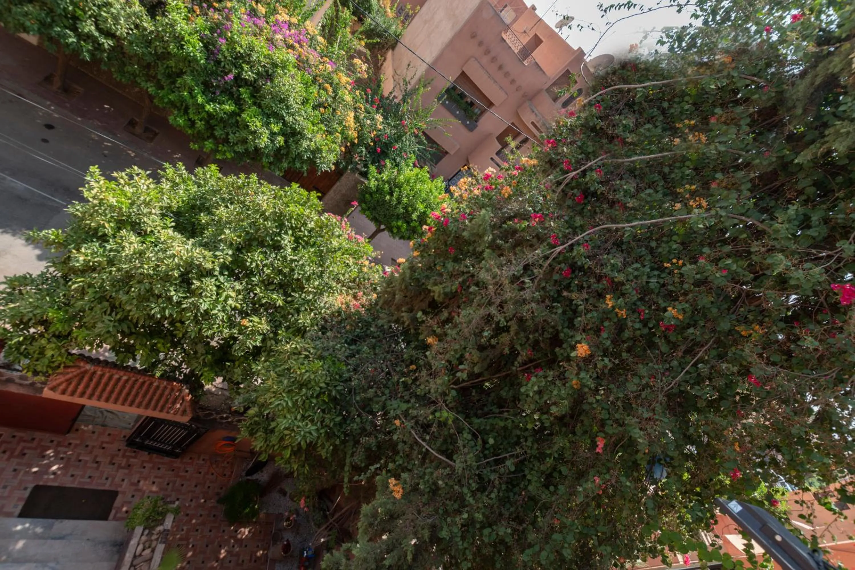 Garden view in Villa Soraya Hammam & Jacuzzi