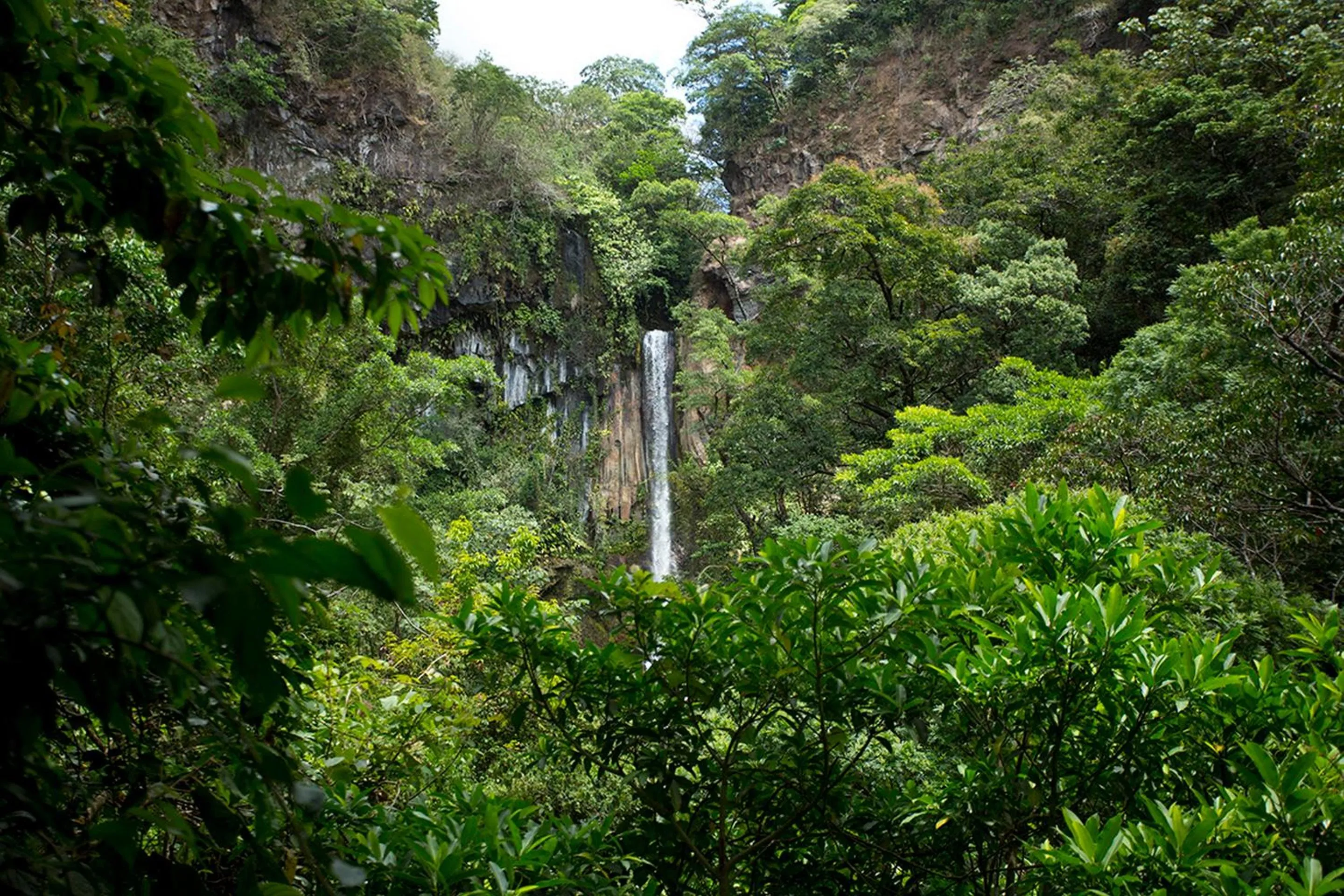 Day in Buena Vista del Rincón Eco Adventure Park Hotel & Spa