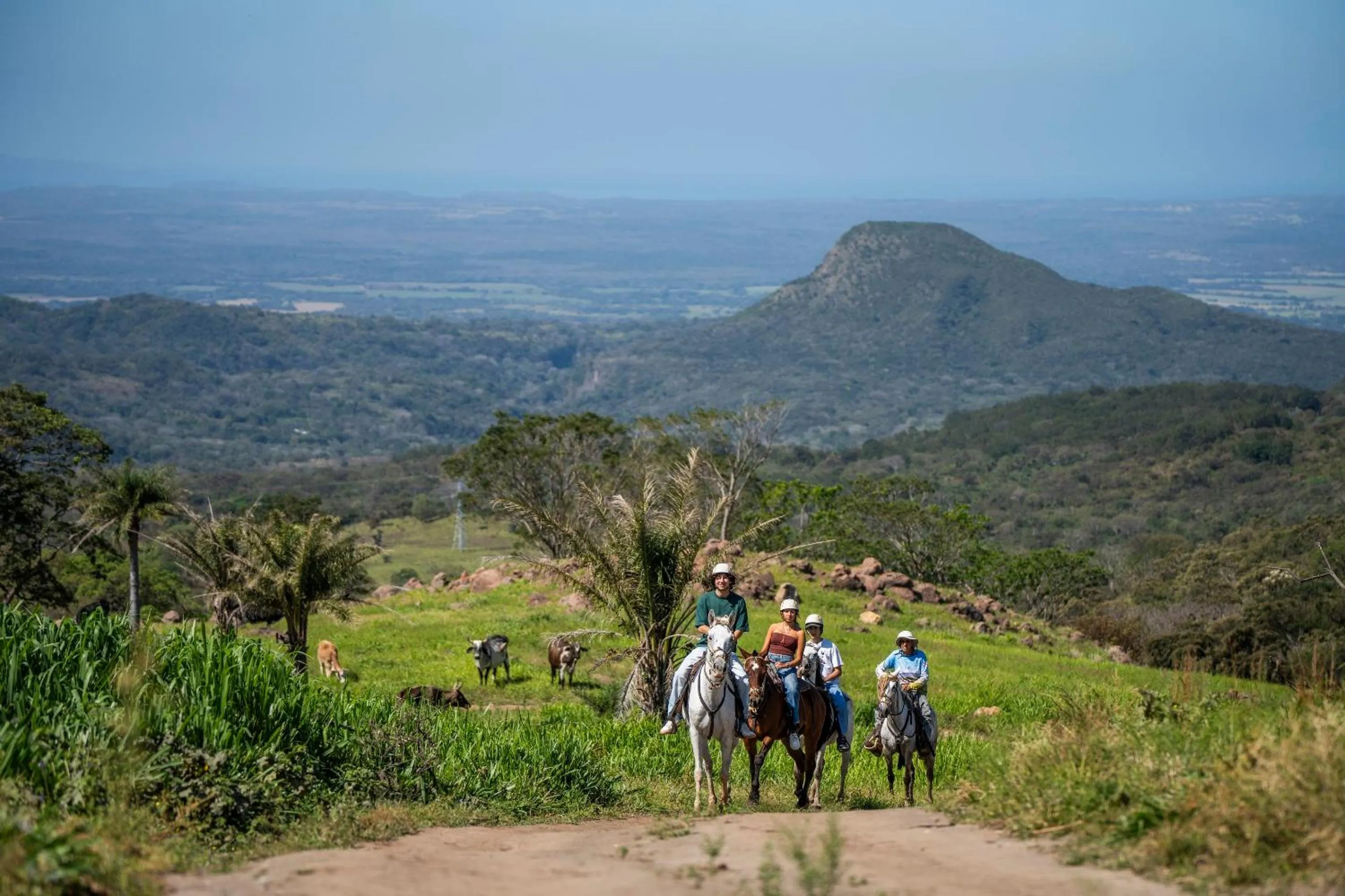 Natural landscape in Buena Vista del Rincón Eco Adventure Park Hotel & Spa