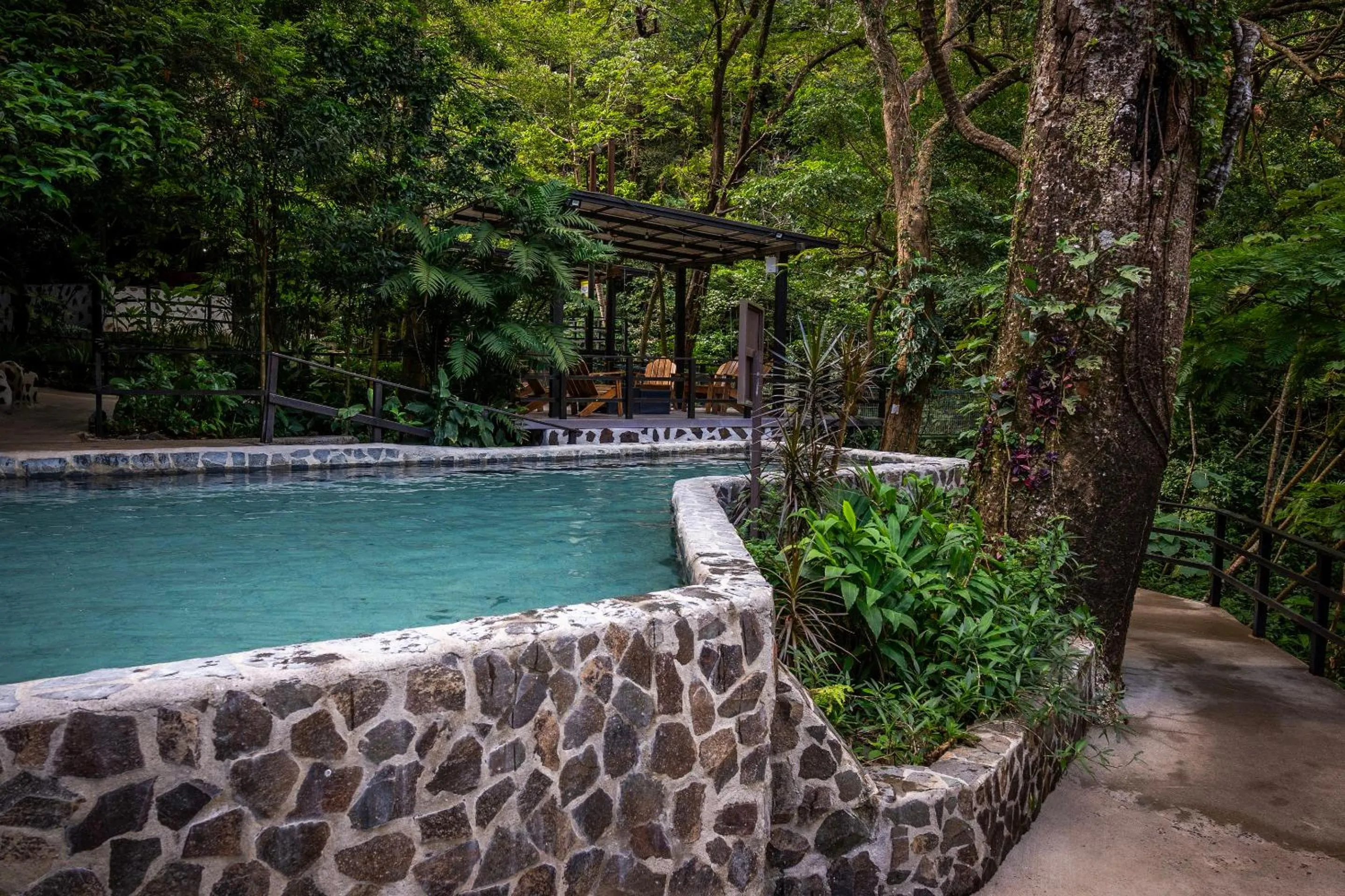Swimming pool in Buena Vista del Rincón Eco Adventure Park Hotel & Spa