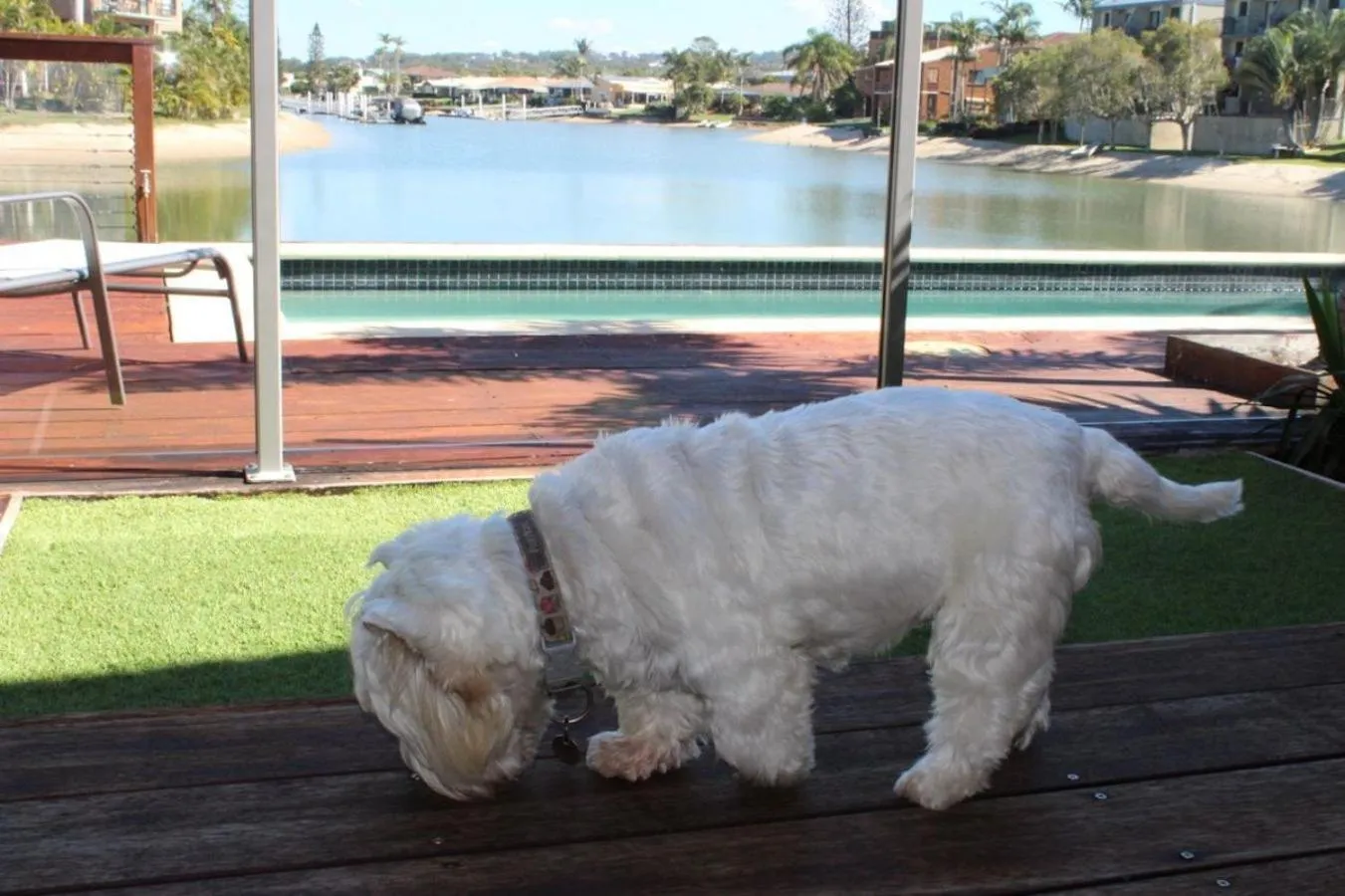Property building in Saltwater Villas - Pet Friendly Accommodation