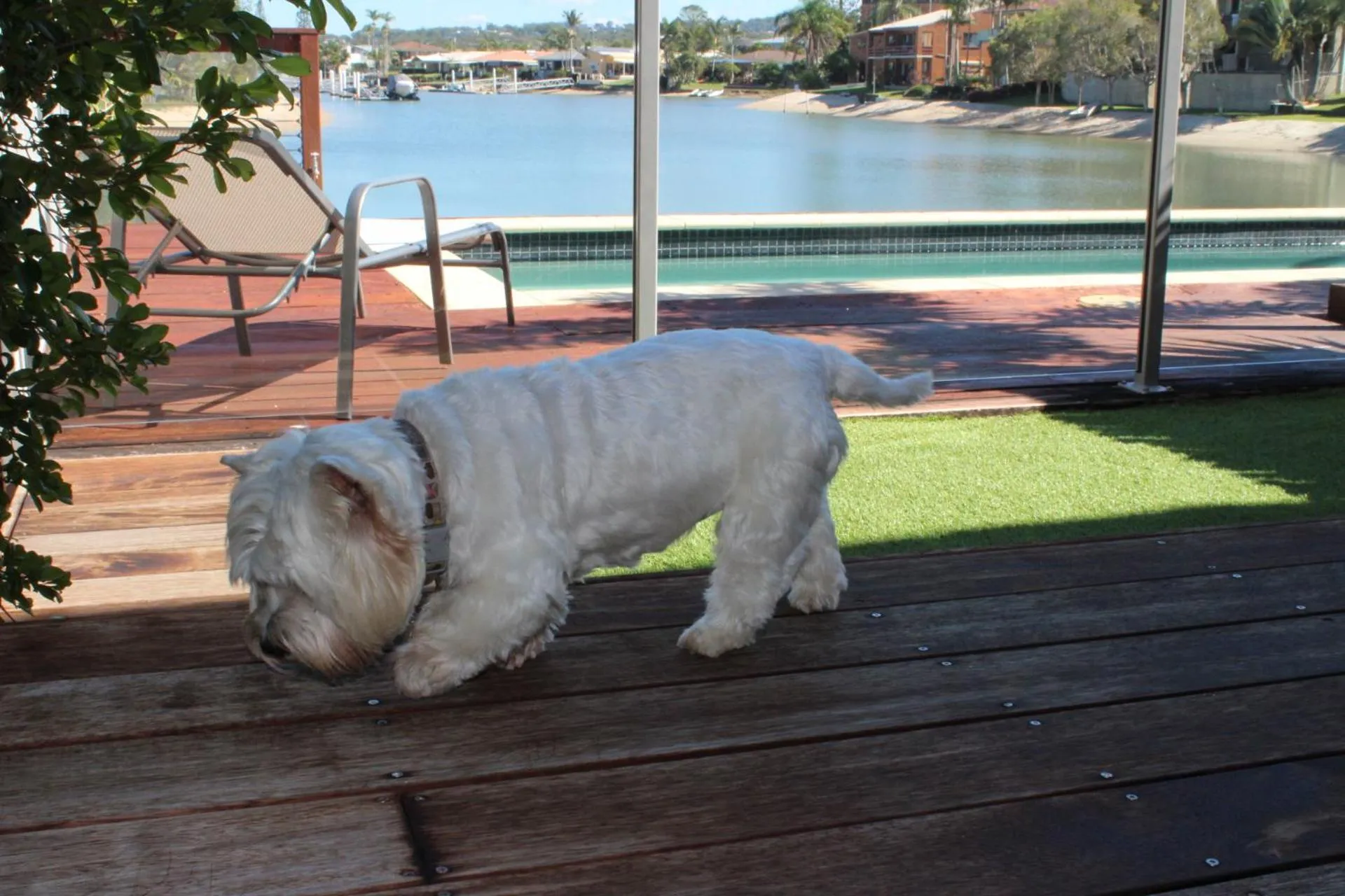 Patio in Saltwater Villas - Pet Friendly Accommodation