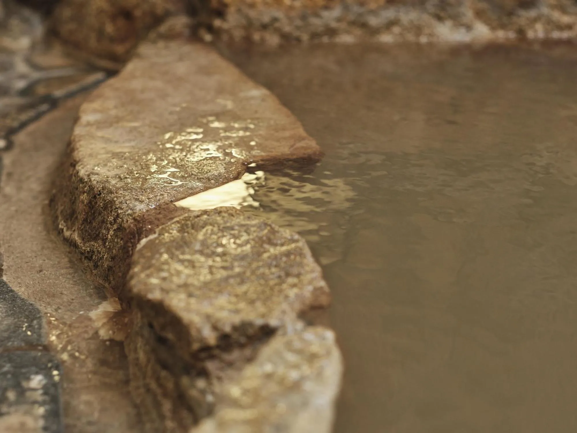Hot Spring Bath in Manseiro