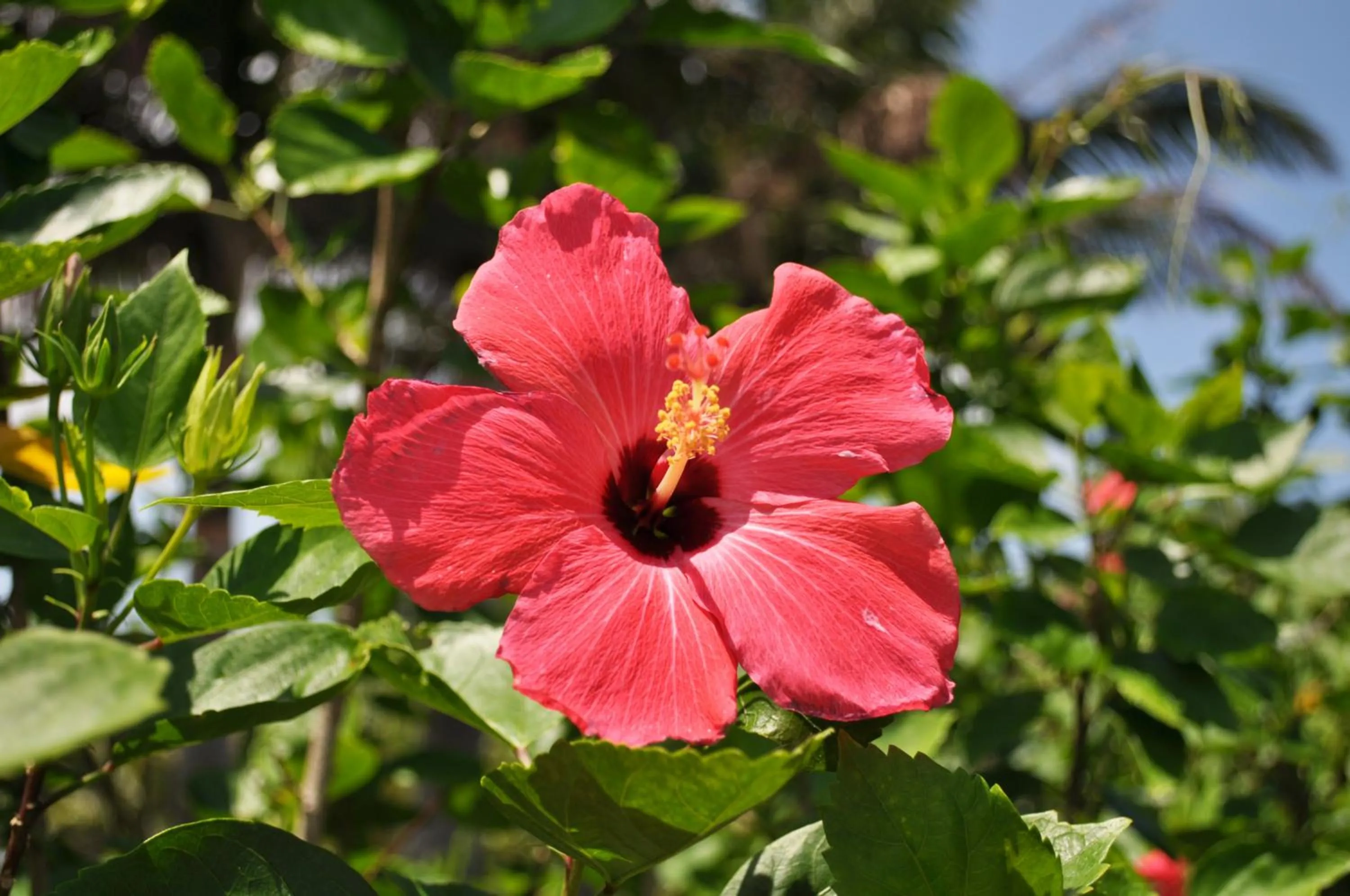 Day in Hotel Tulip Ishigakijima