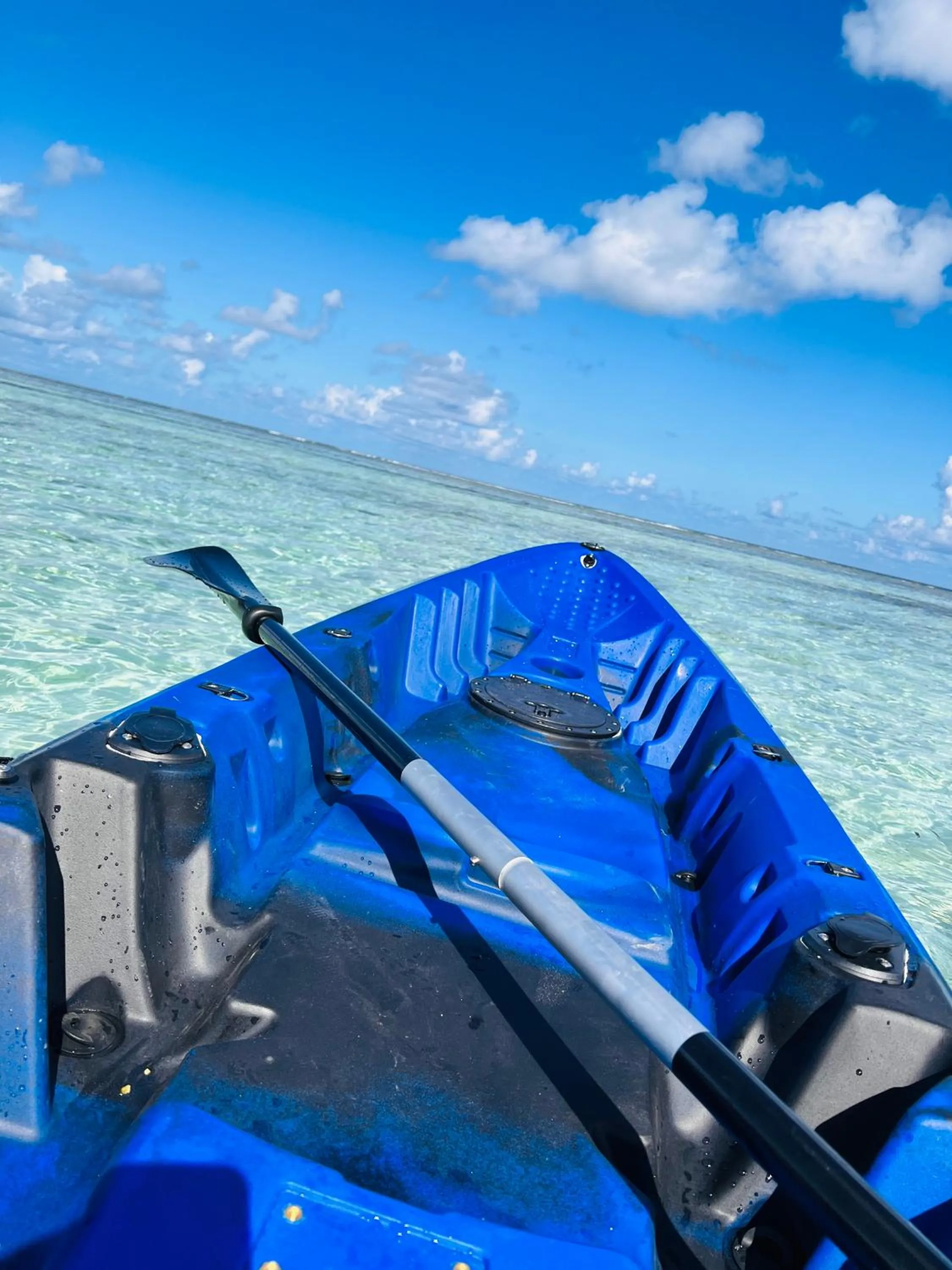 Day in White Tern Maldives