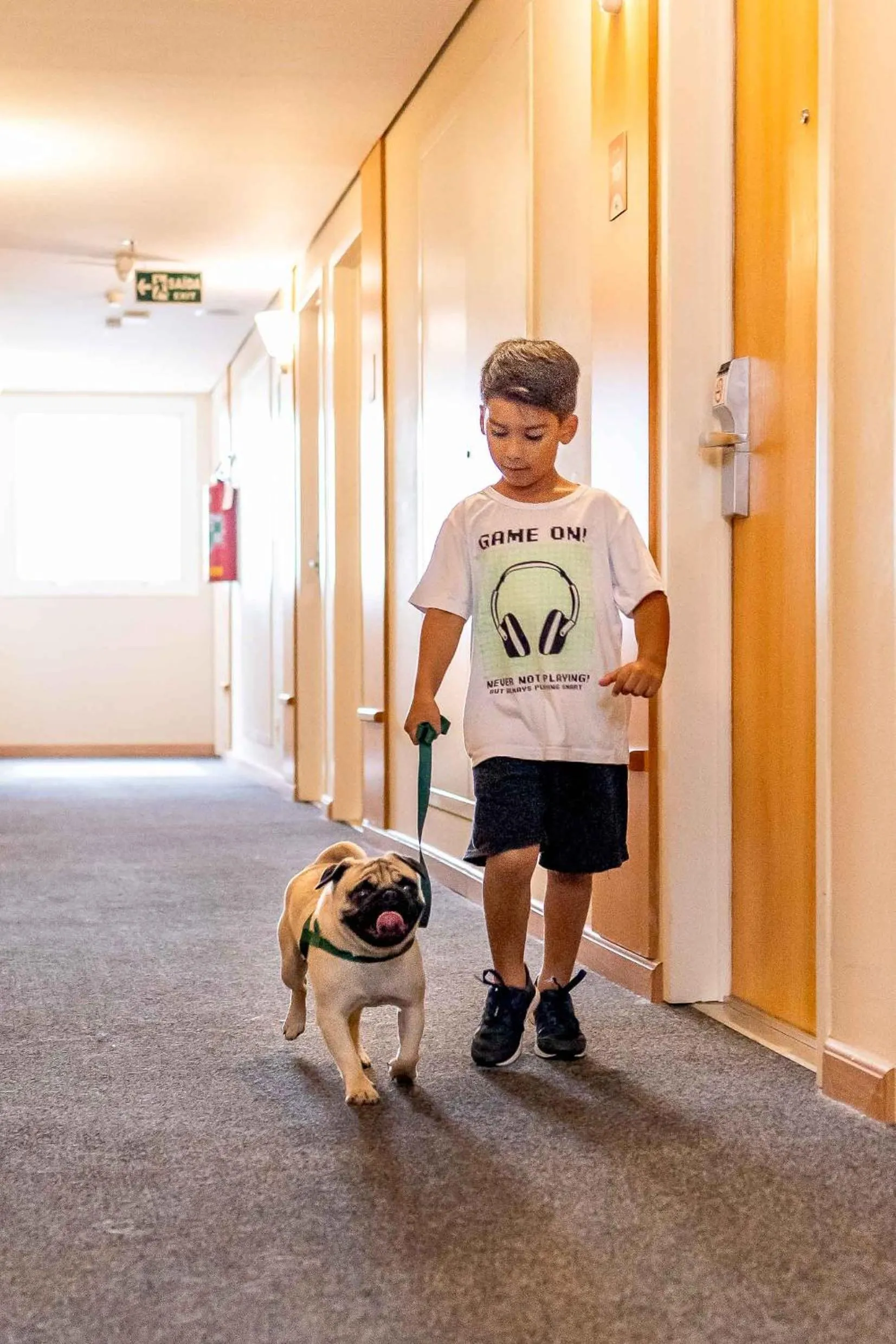 Pets in HUS HOTEL Dourados