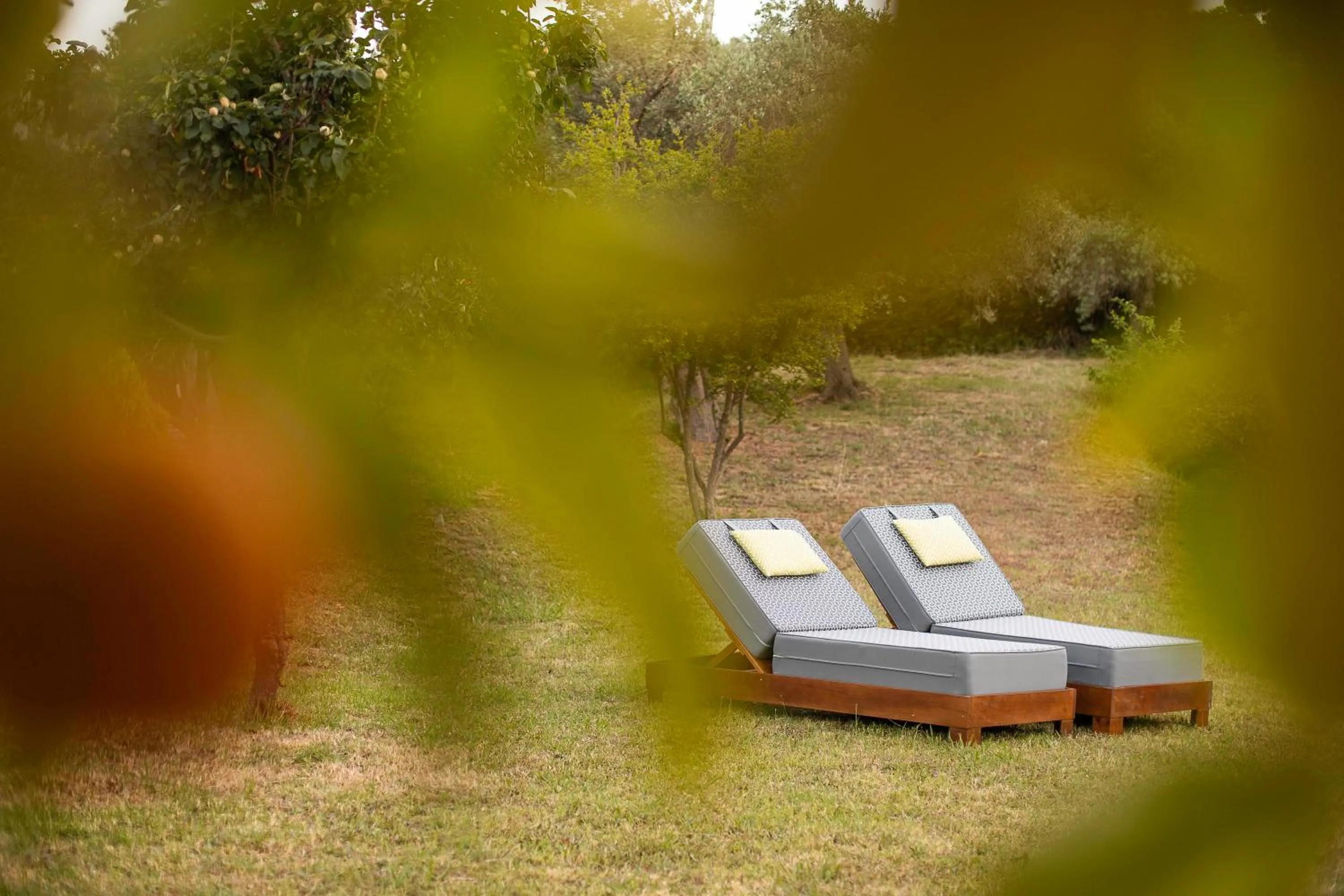 Garden in Skiathos Avaton Hotel, Philian Hotels & Resorts