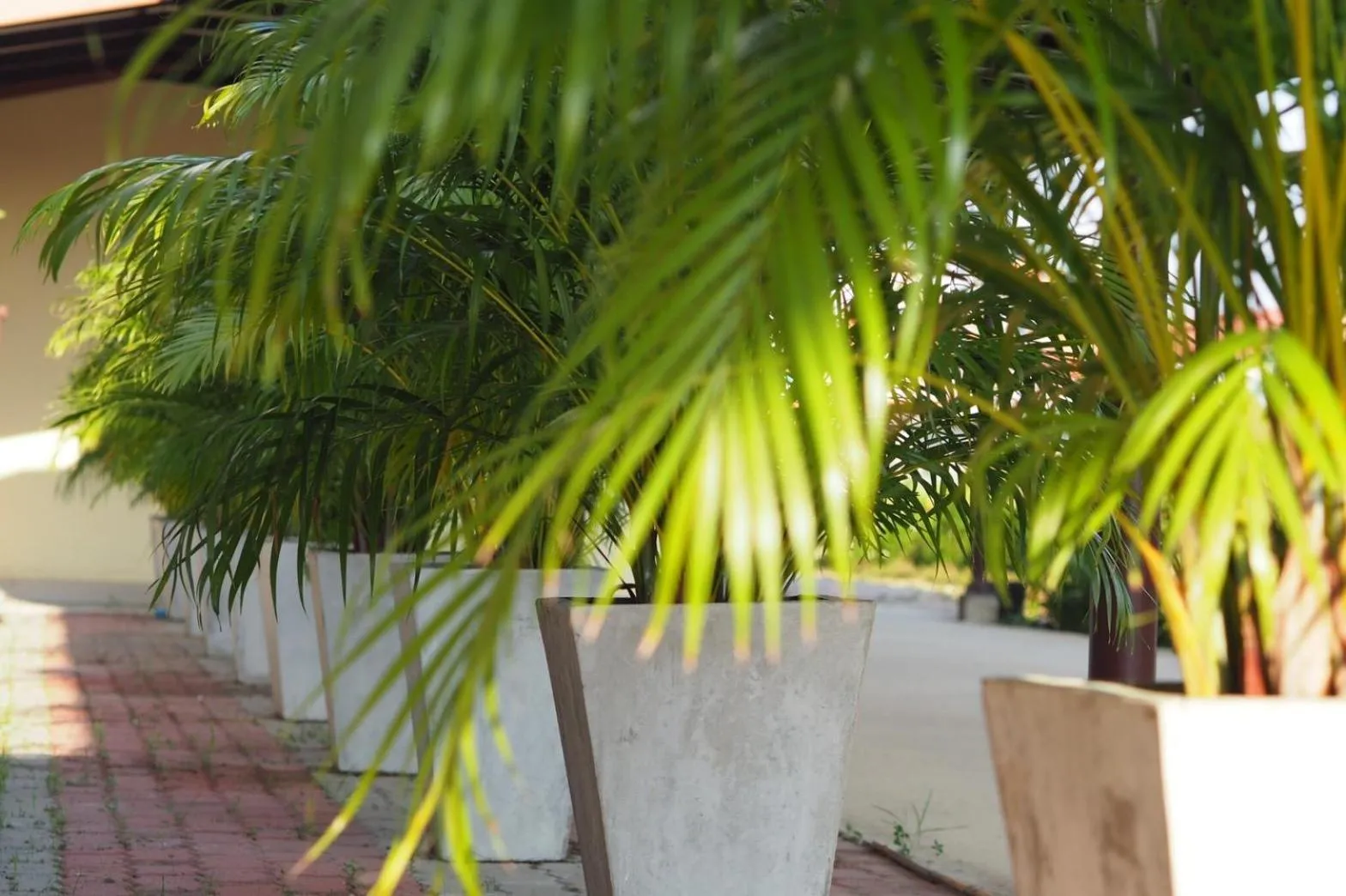 Natural landscape in Phromsuk Hotel Ayutthaya