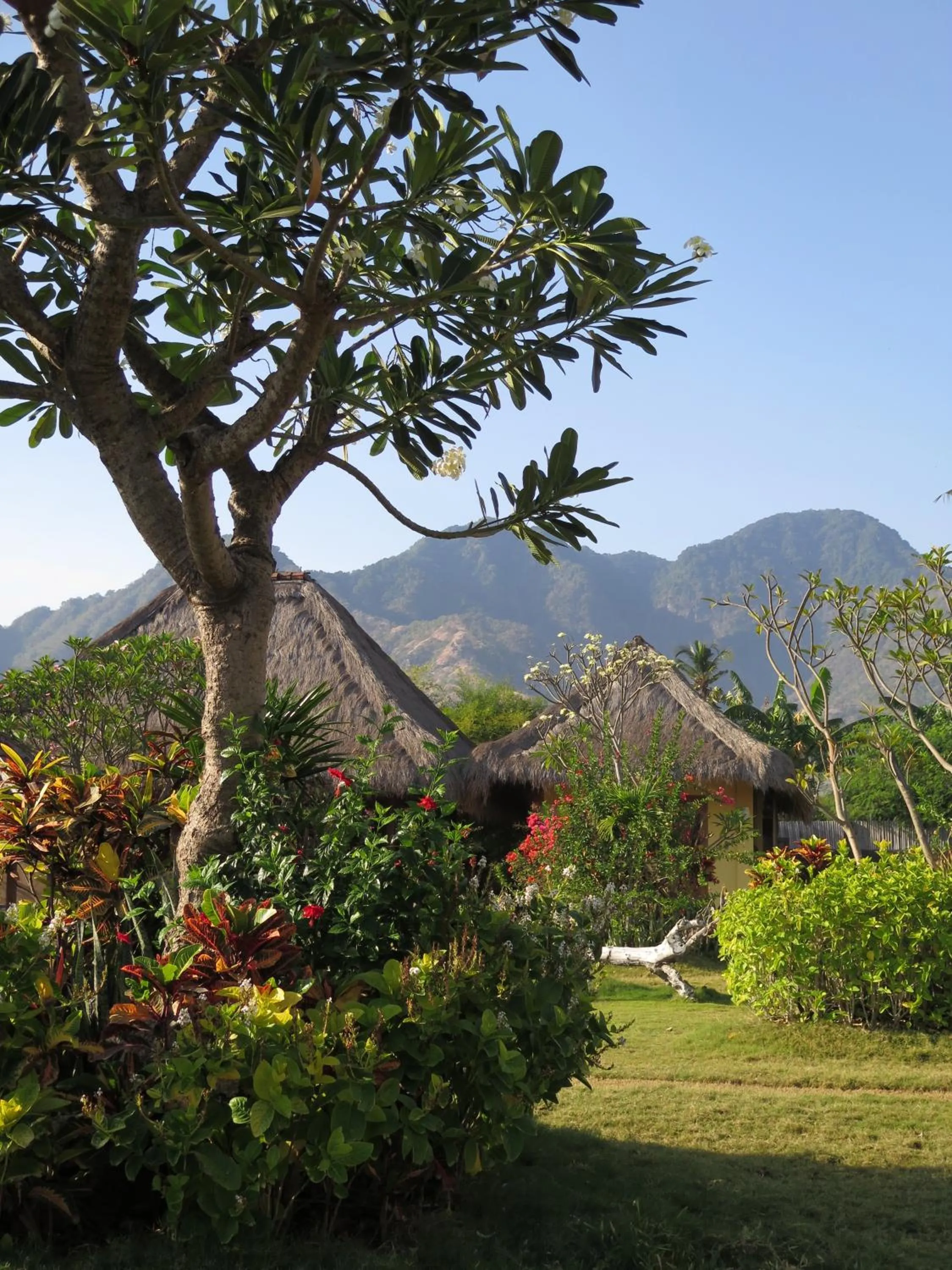 Garden view in Sunia Loka Bungalows & Dive Center