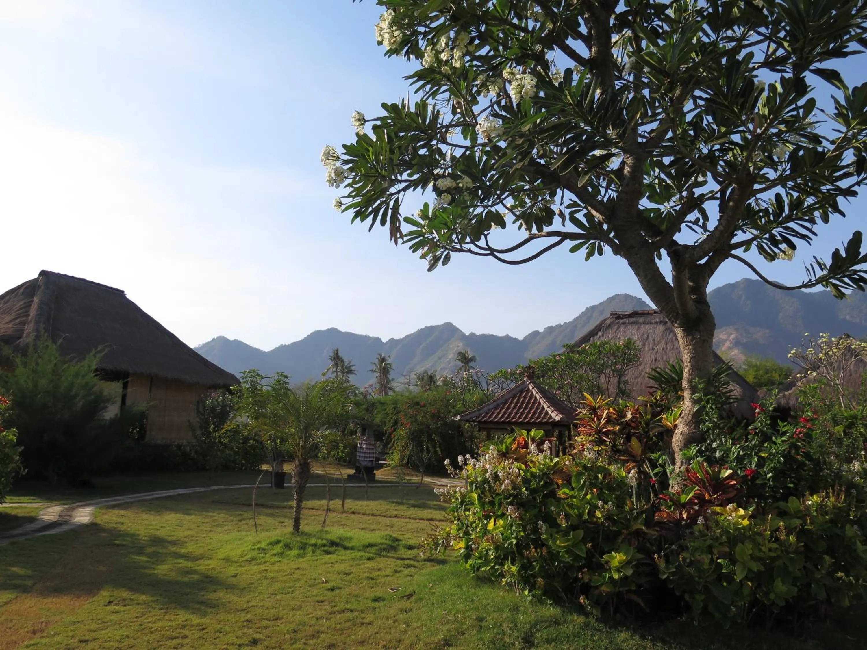 Garden view in Sunia Loka Bungalows & Dive Center