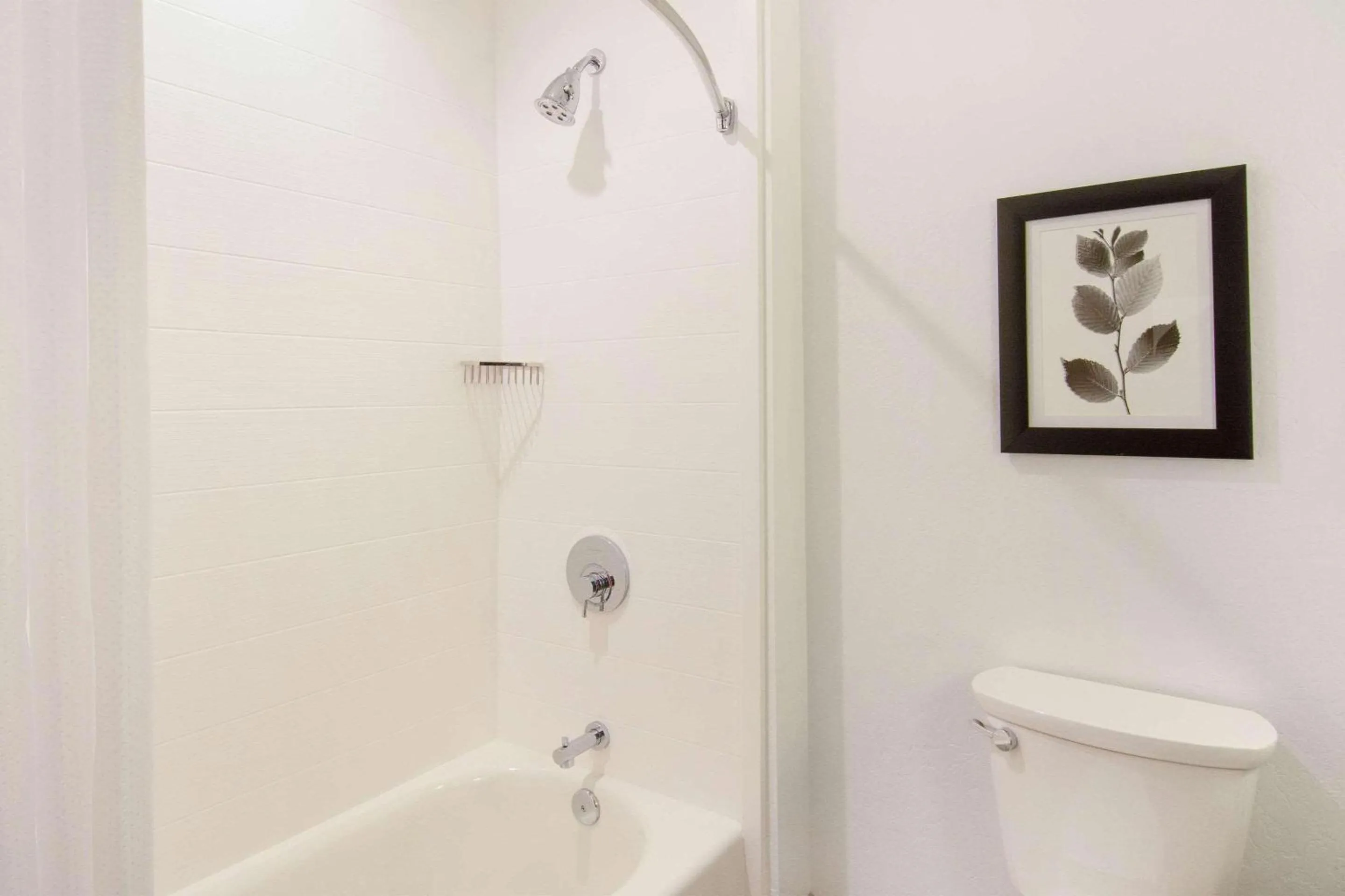 Bedroom in Country Inn & Suites by Radisson, Flagstaff Downtown, AZ