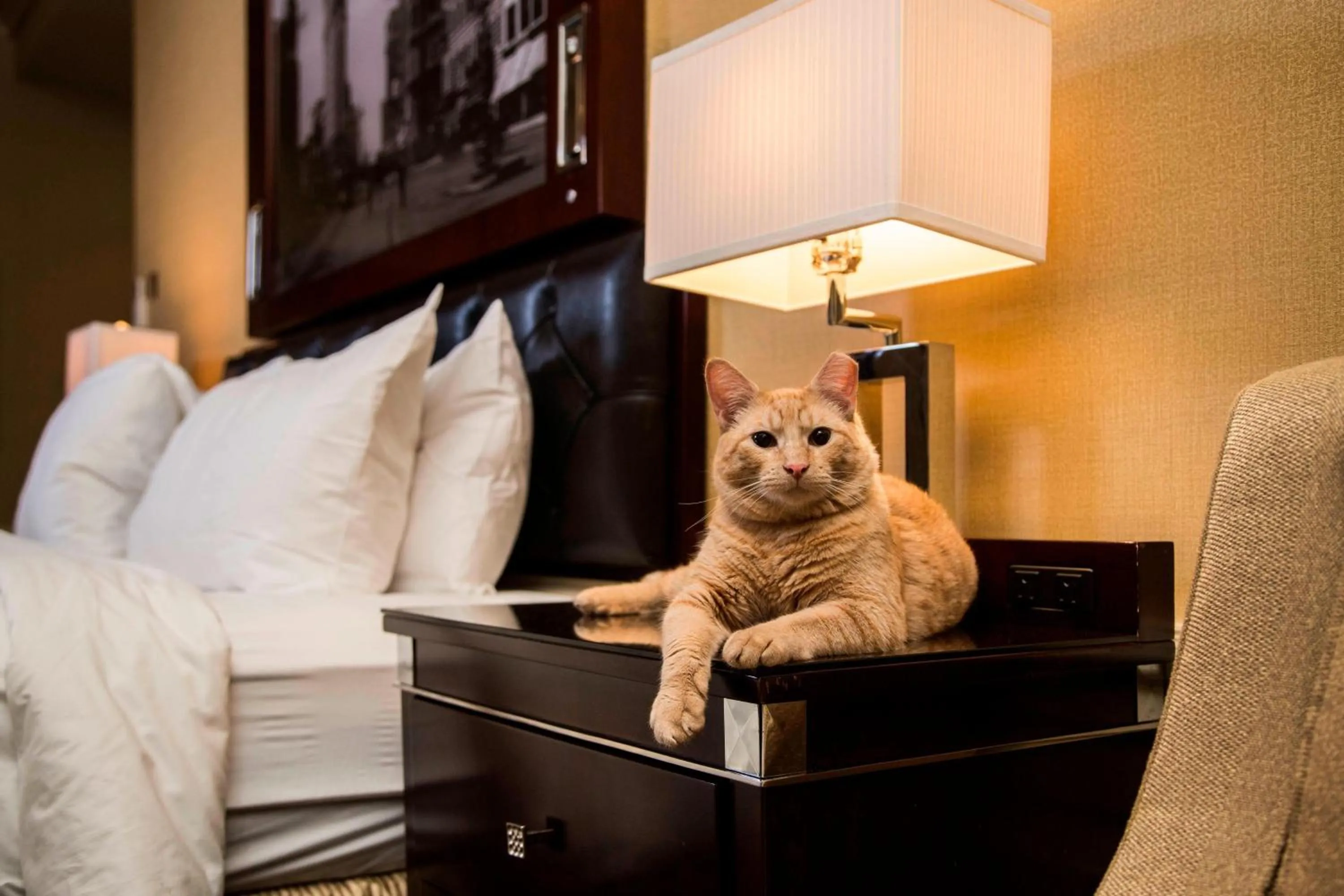 Other in The Algonquin Hotel Times Square, Autograph Collection