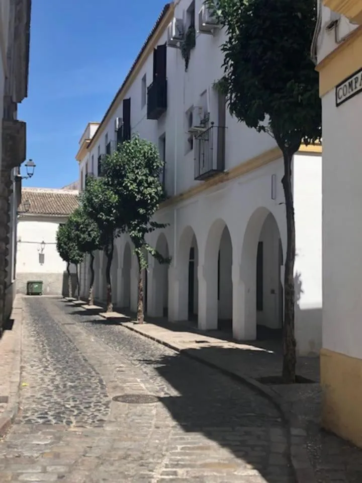 El Rincon de Elena (Garden Apartment)
