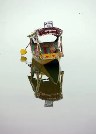 Summer in Houseboat Lily of Nageen