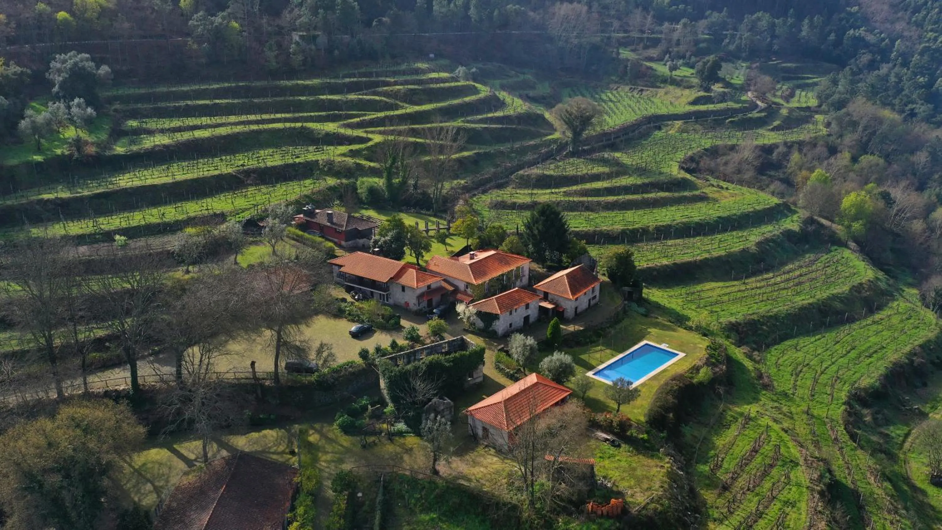 Bird's eye view in Quinta da Pousadela - Agroturismo